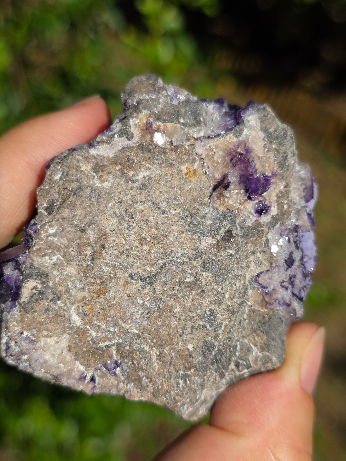 Fluorite des Pyrénées D