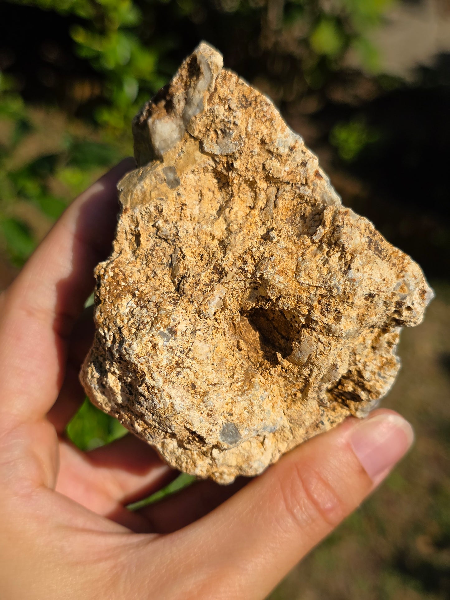 Calcédoine du Poitou n°16