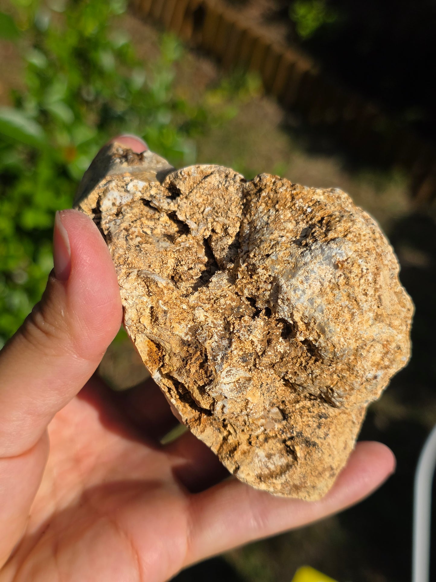 Calcédoine du Poitou n°16