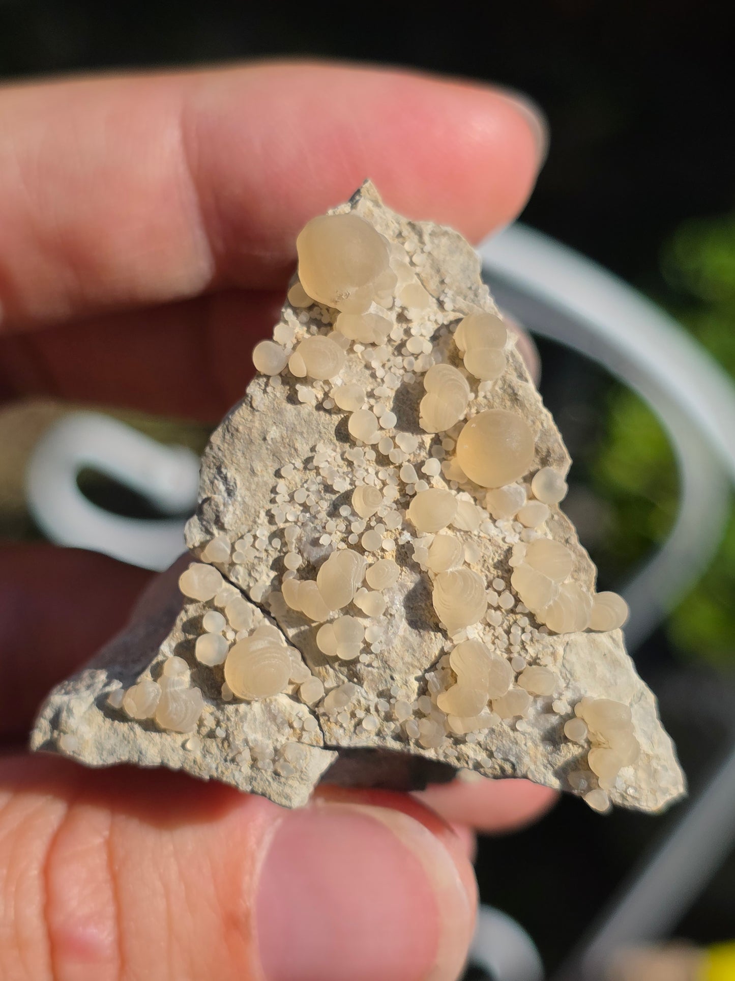Calcédoine botryoïdale du Poitou n°18