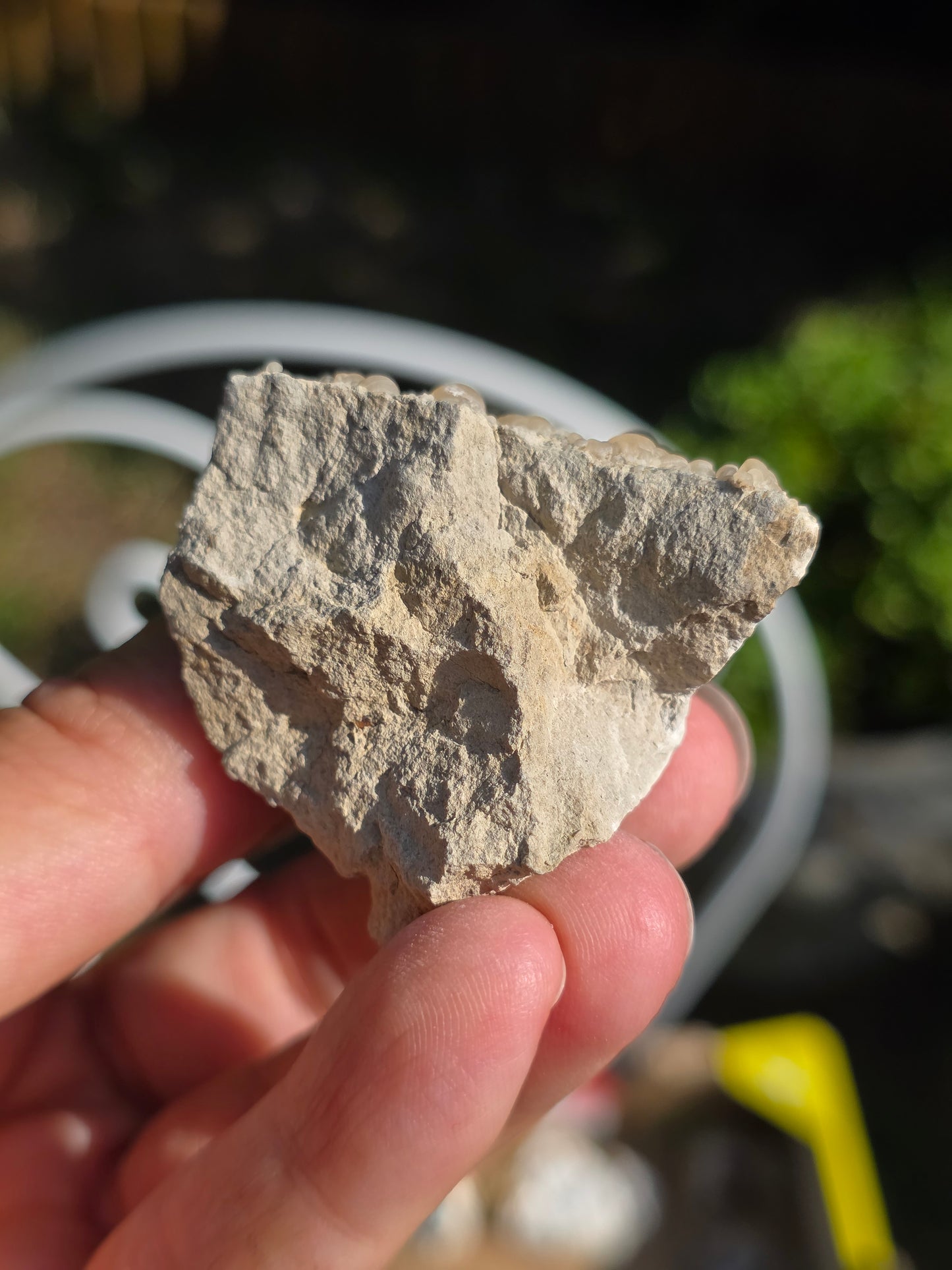 Calcédoine botryoïdale du Poitou n°18