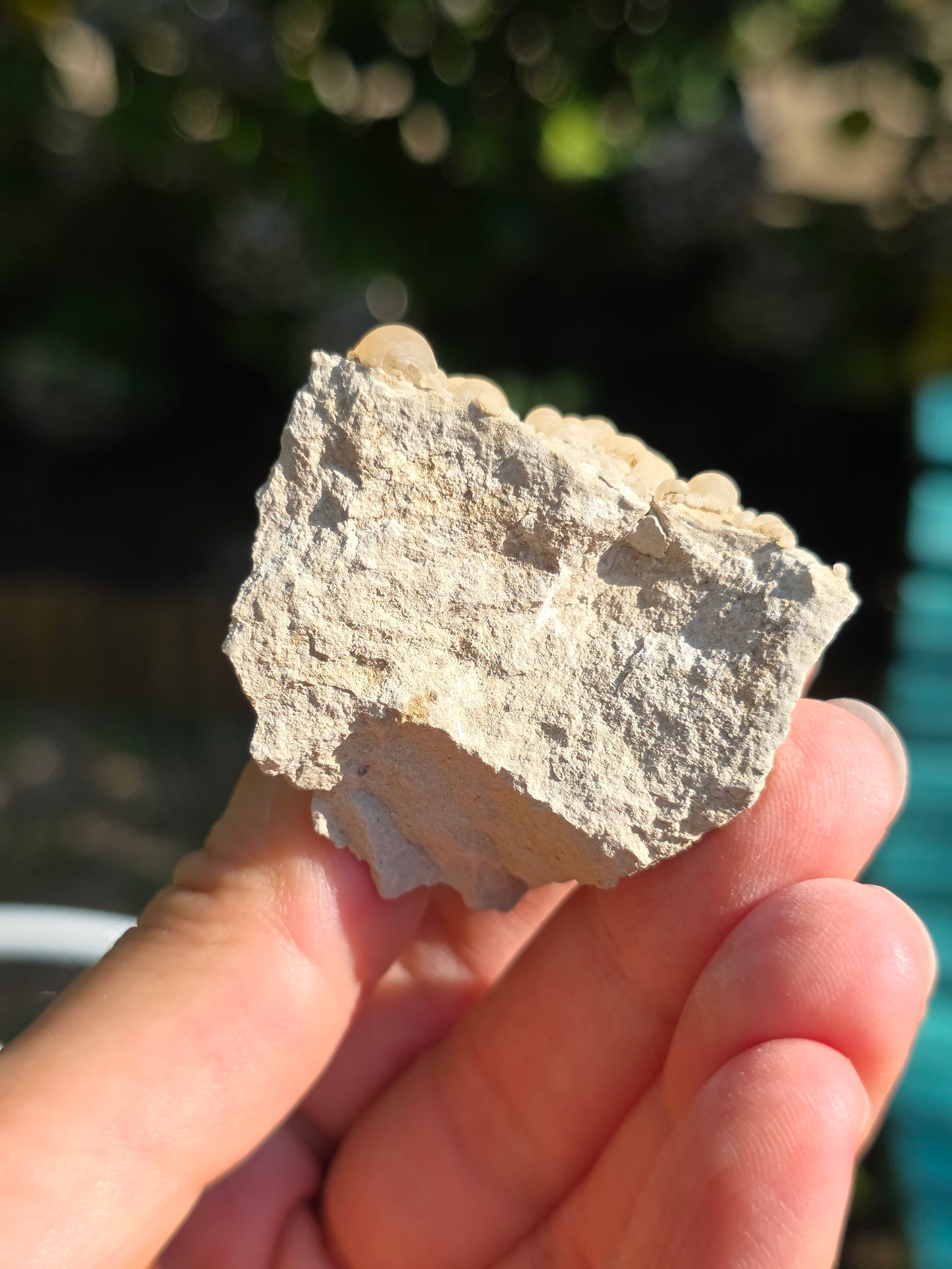 Calcédoine botryoïdale du Poitou n°18