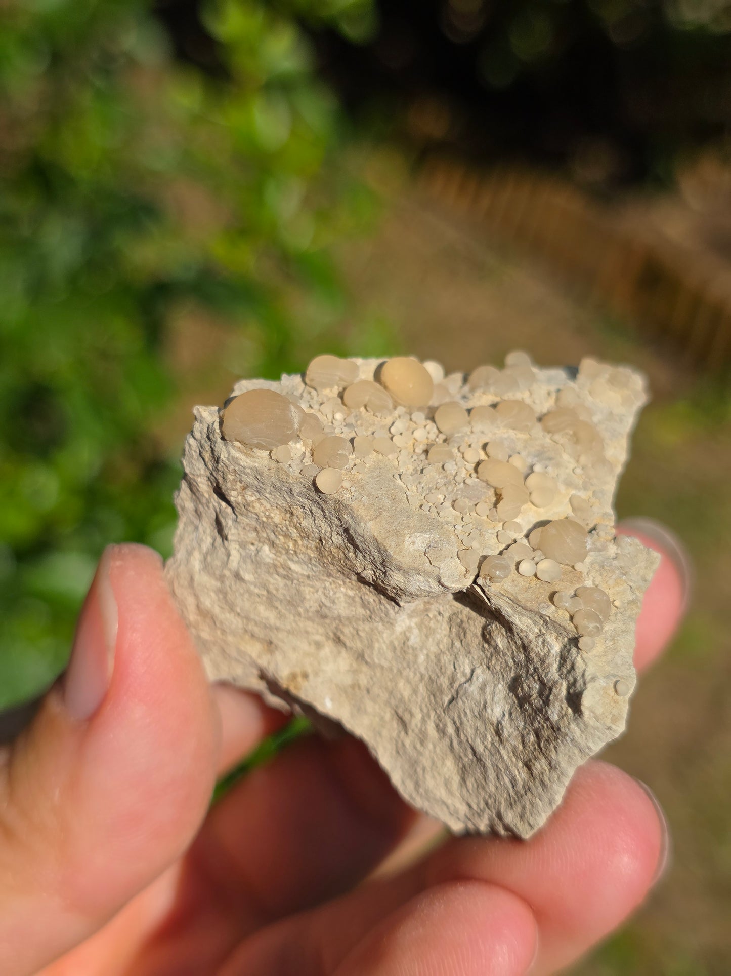 Calcédoine botryoïdale du Poitou n°18