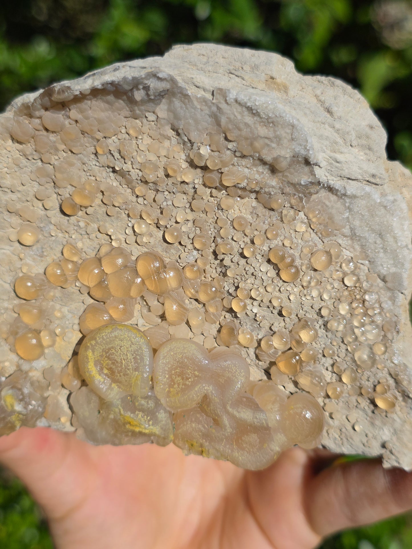 Calcédoine botryoïdale du Poitou n°19