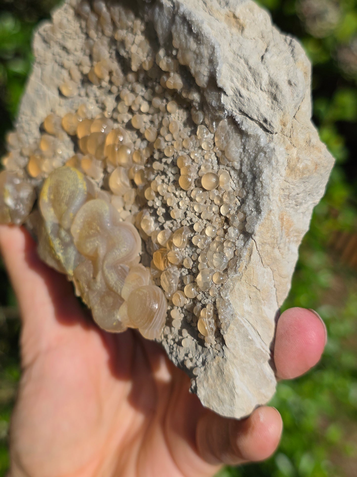 Calcédoine botryoïdale du Poitou n°19