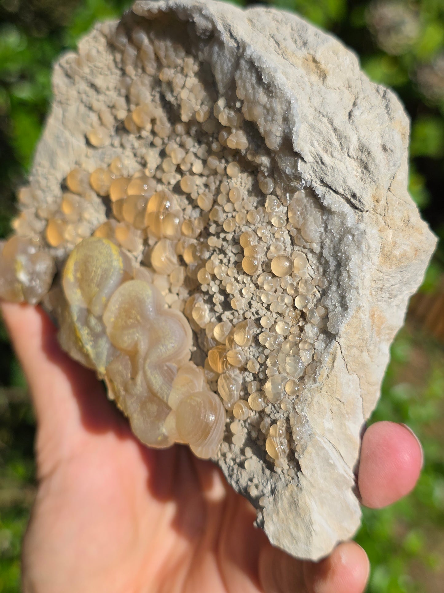 Calcédoine botryoïdale du Poitou n°19