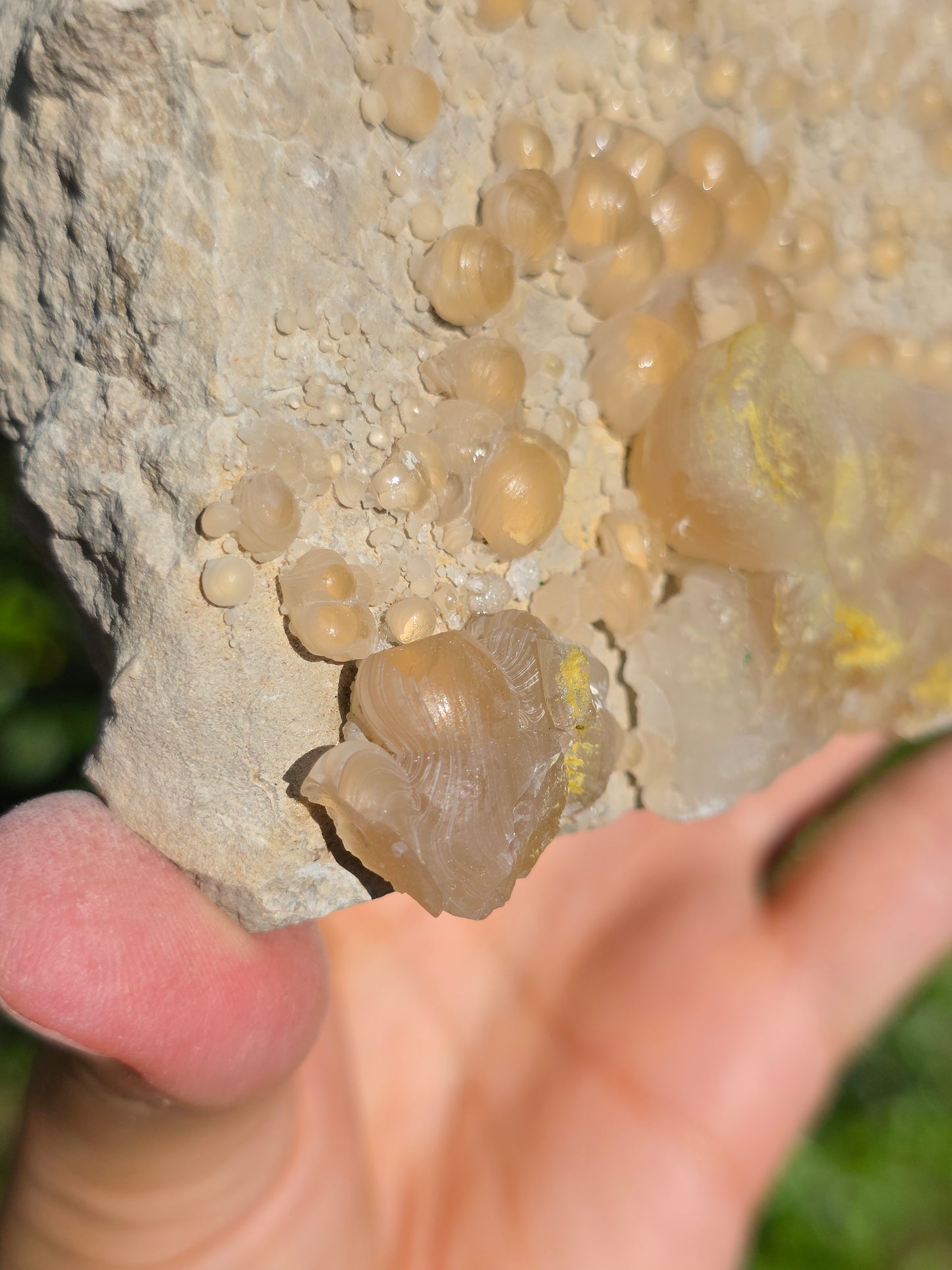 Calcédoine botryoïdale du Poitou n°19