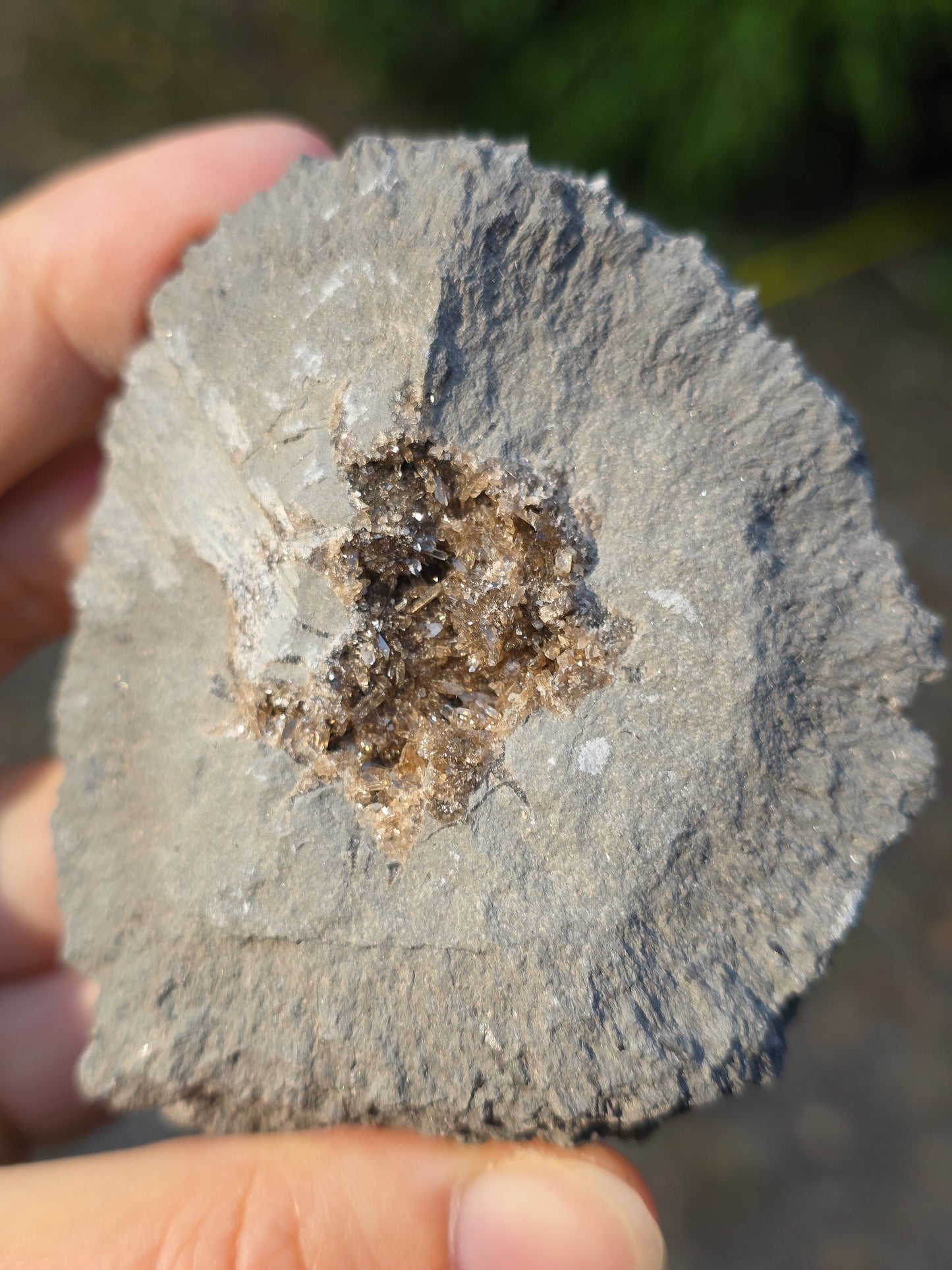 Septaria de la Drôme n°3