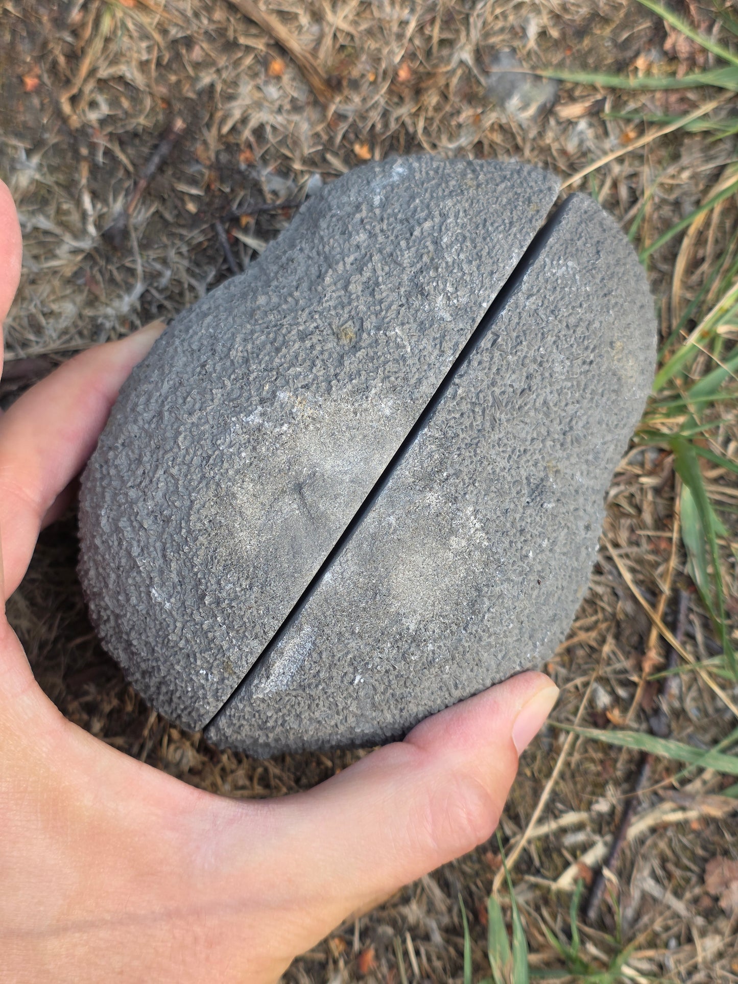 Septaria entière de la Drôme