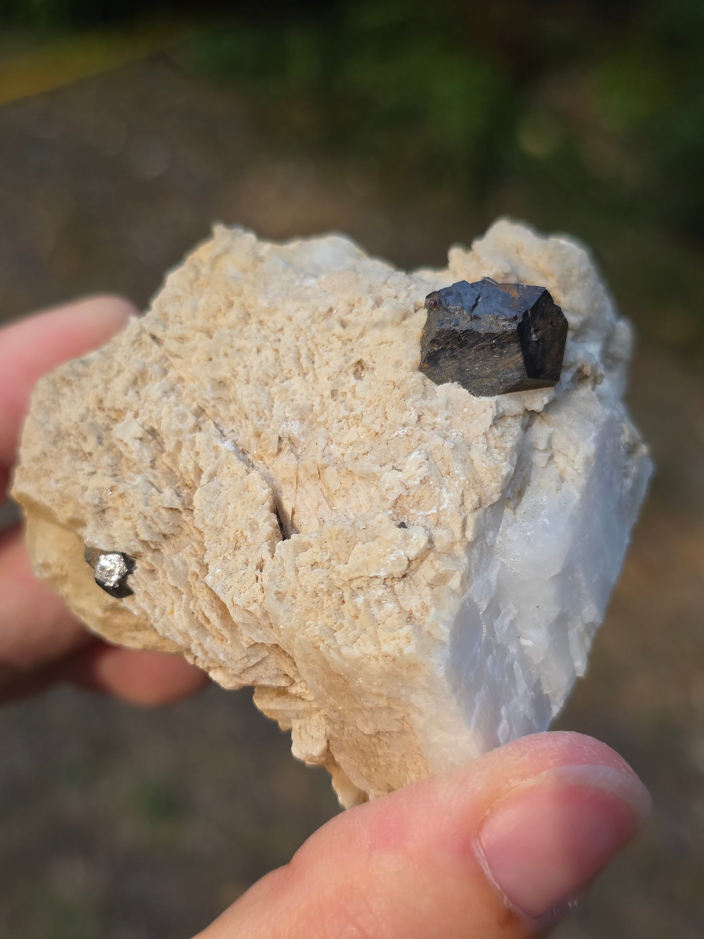 Pyrite du Pibeste (65) A