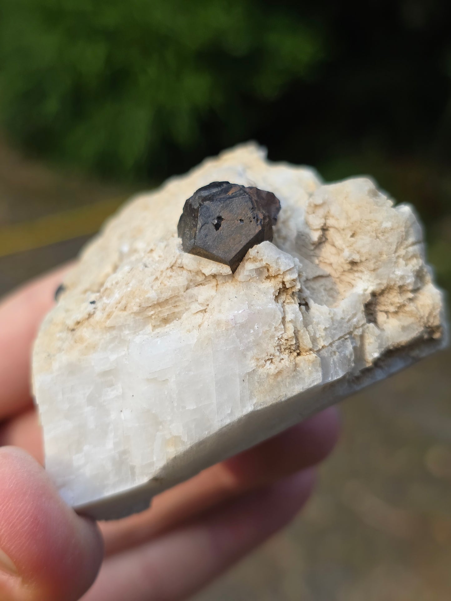Pyrite du Pibeste (65) A