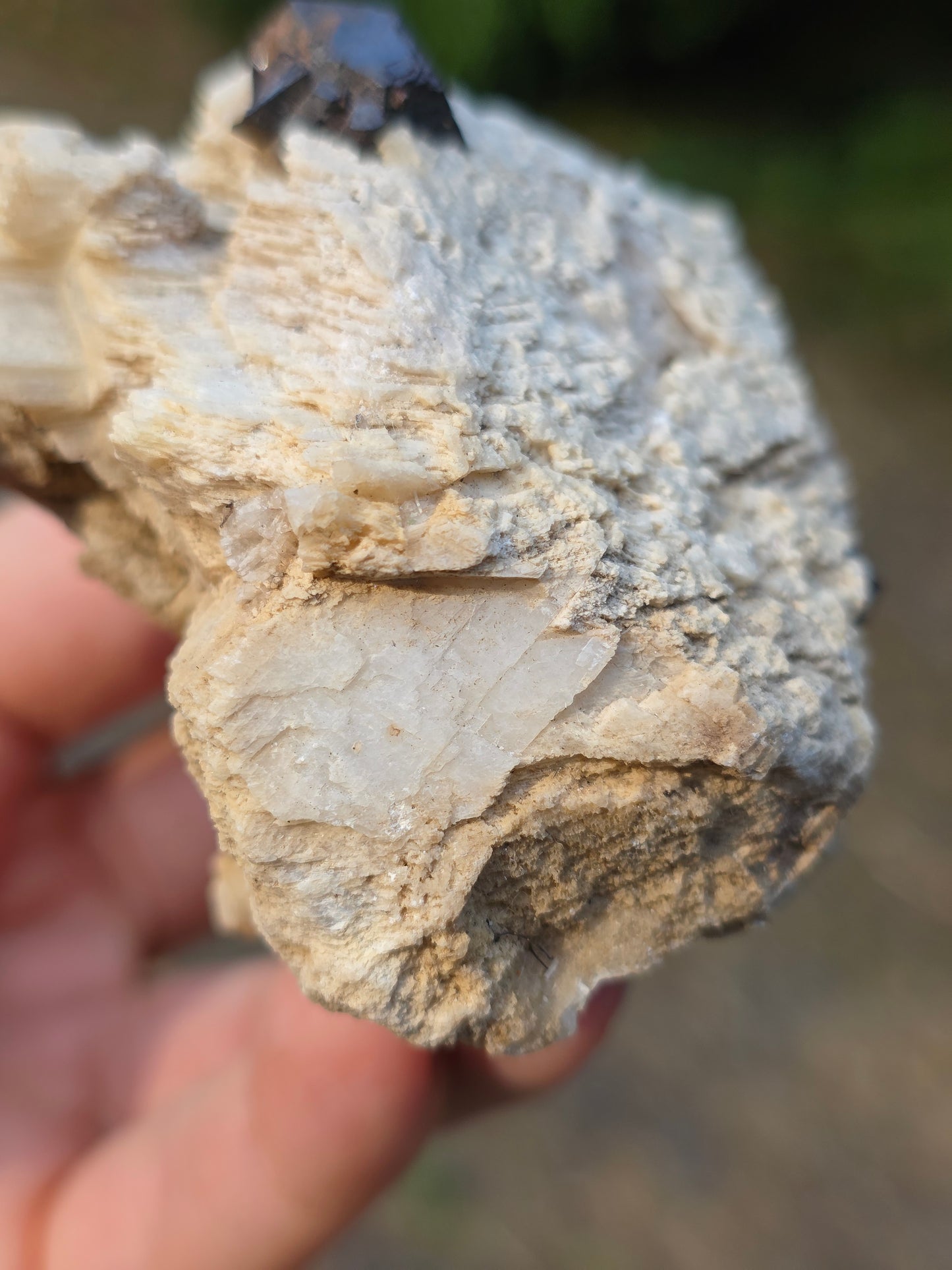Pyrite du Pibeste (65) A
