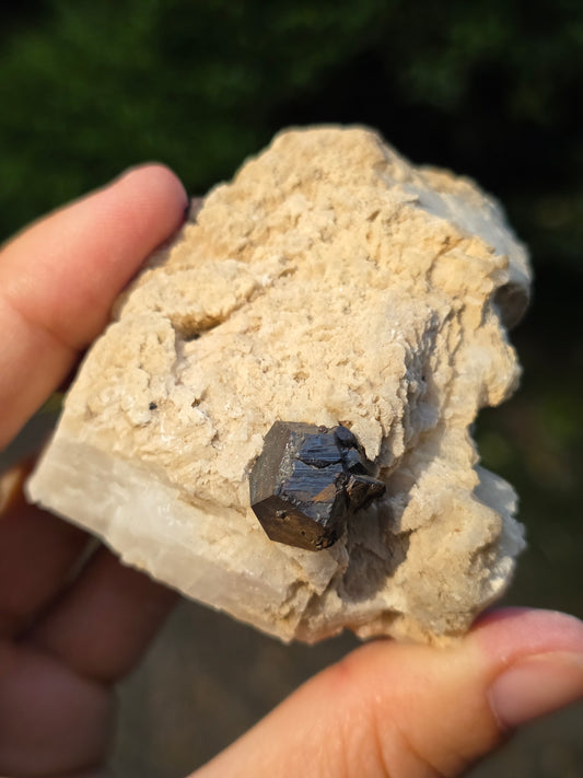 Pyrite du Pibeste (65) A