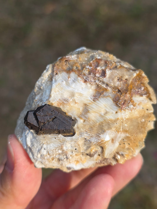 Pyrite du Pibeste (65) B