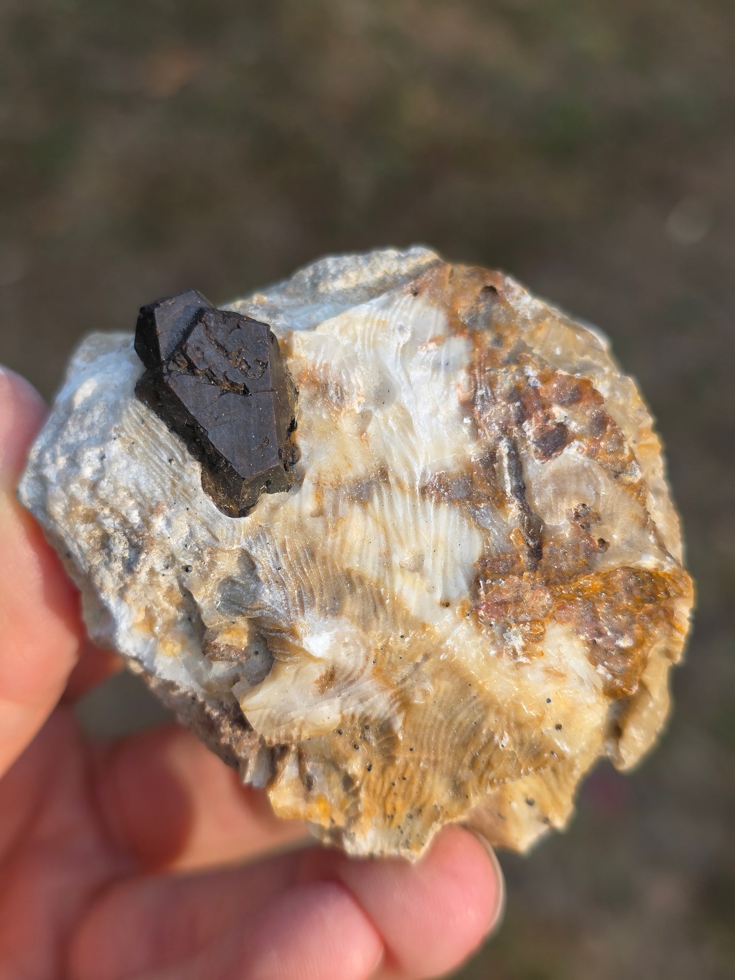 Pyrite du Pibeste (65) B