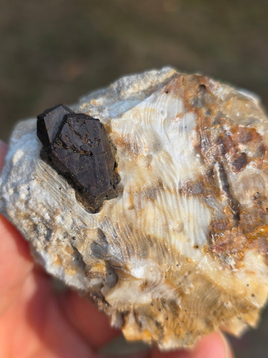 Pyrite du Pibeste (65) B