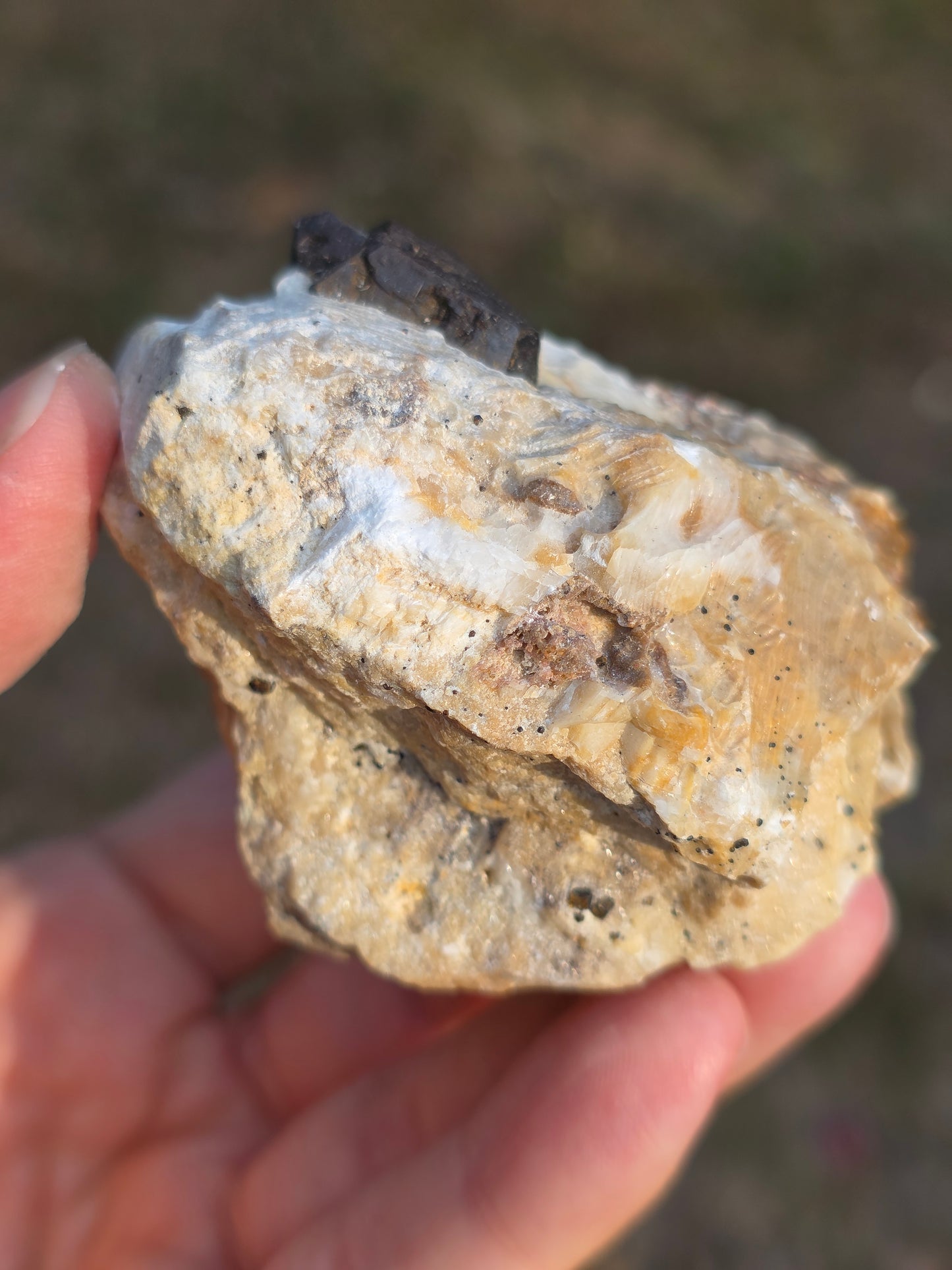 Pyrite du Pibeste (65) B