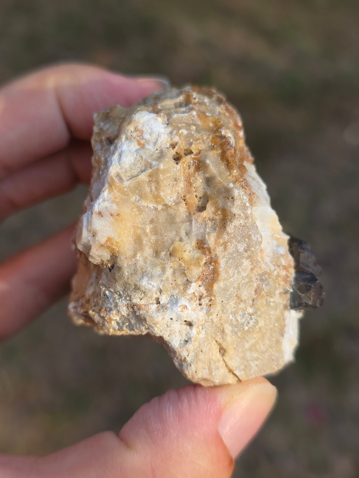 Pyrite du Pibeste (65) B