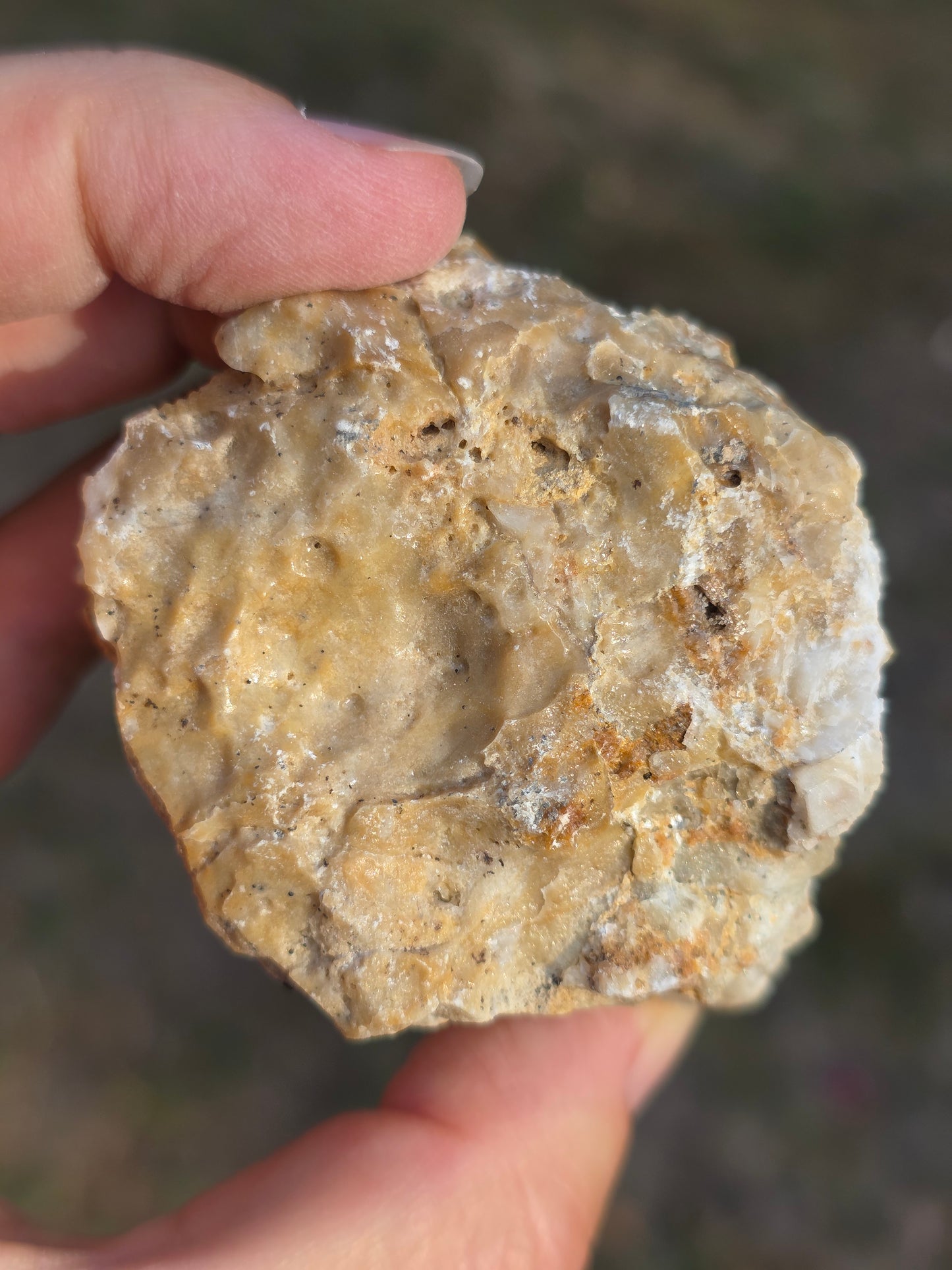 Pyrite du Pibeste (65) B