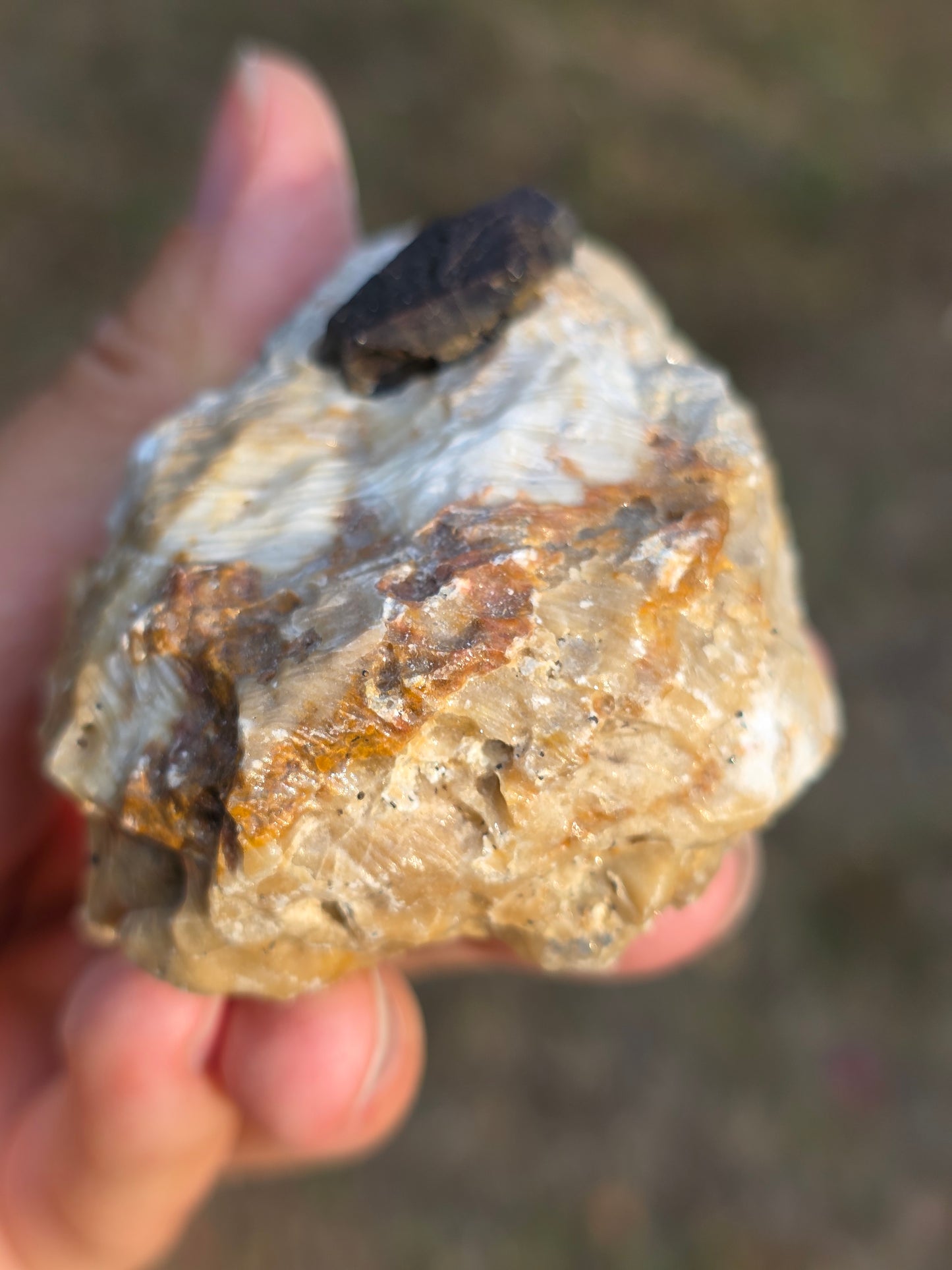 Pyrite du Pibeste (65) B