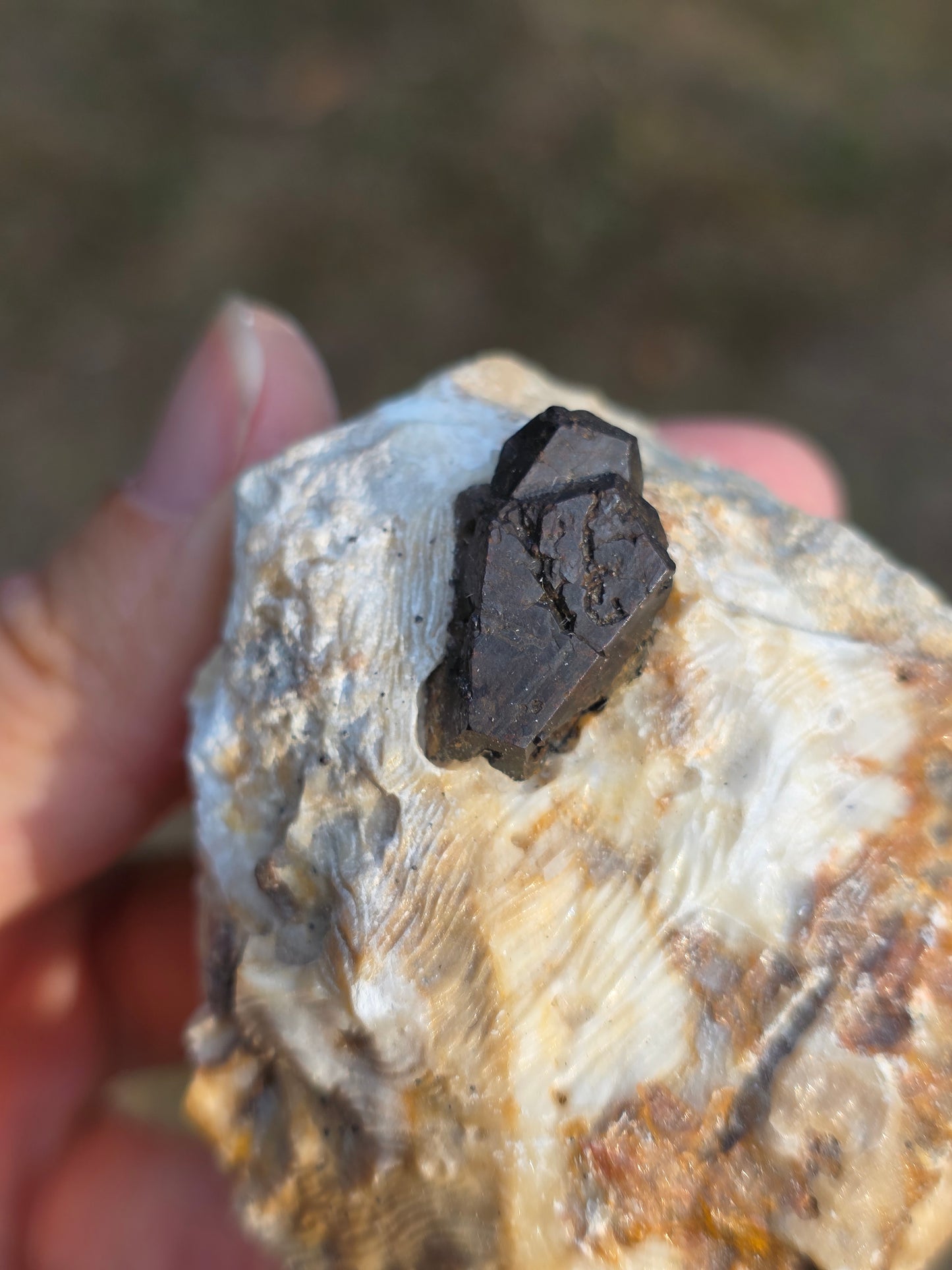 Pyrite du Pibeste (65) B