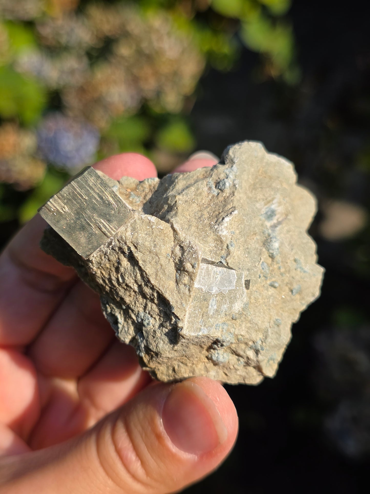 Pyrite de Navajun