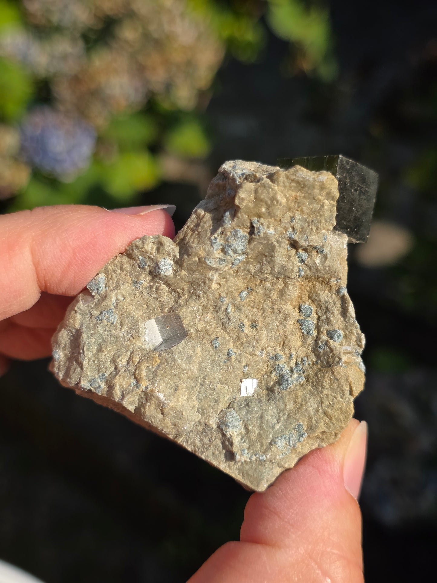 Pyrite de Navajun