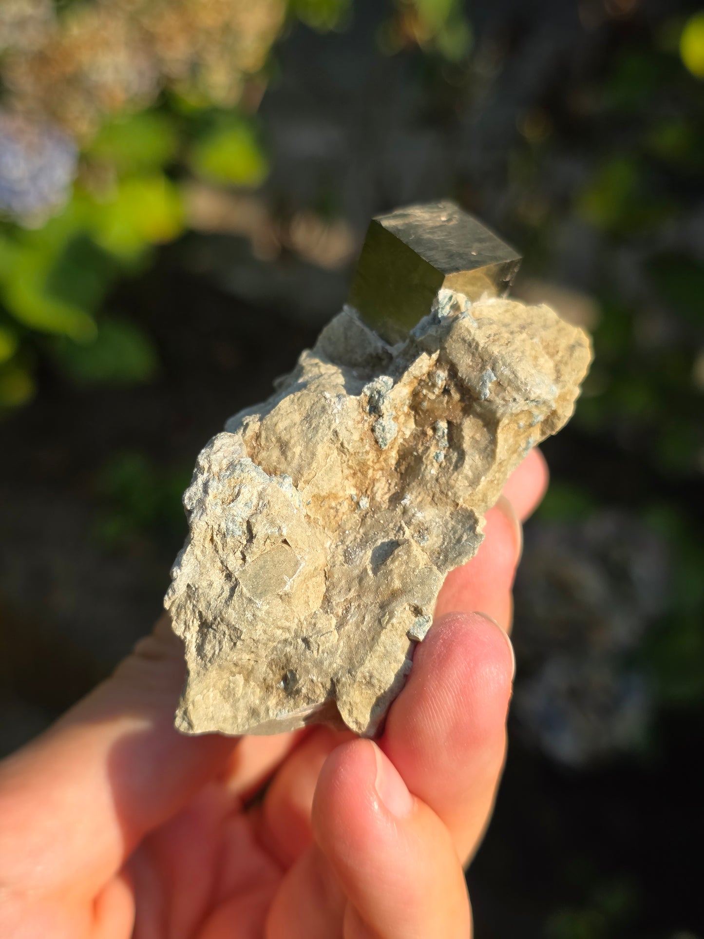 Pyrite de Navajun
