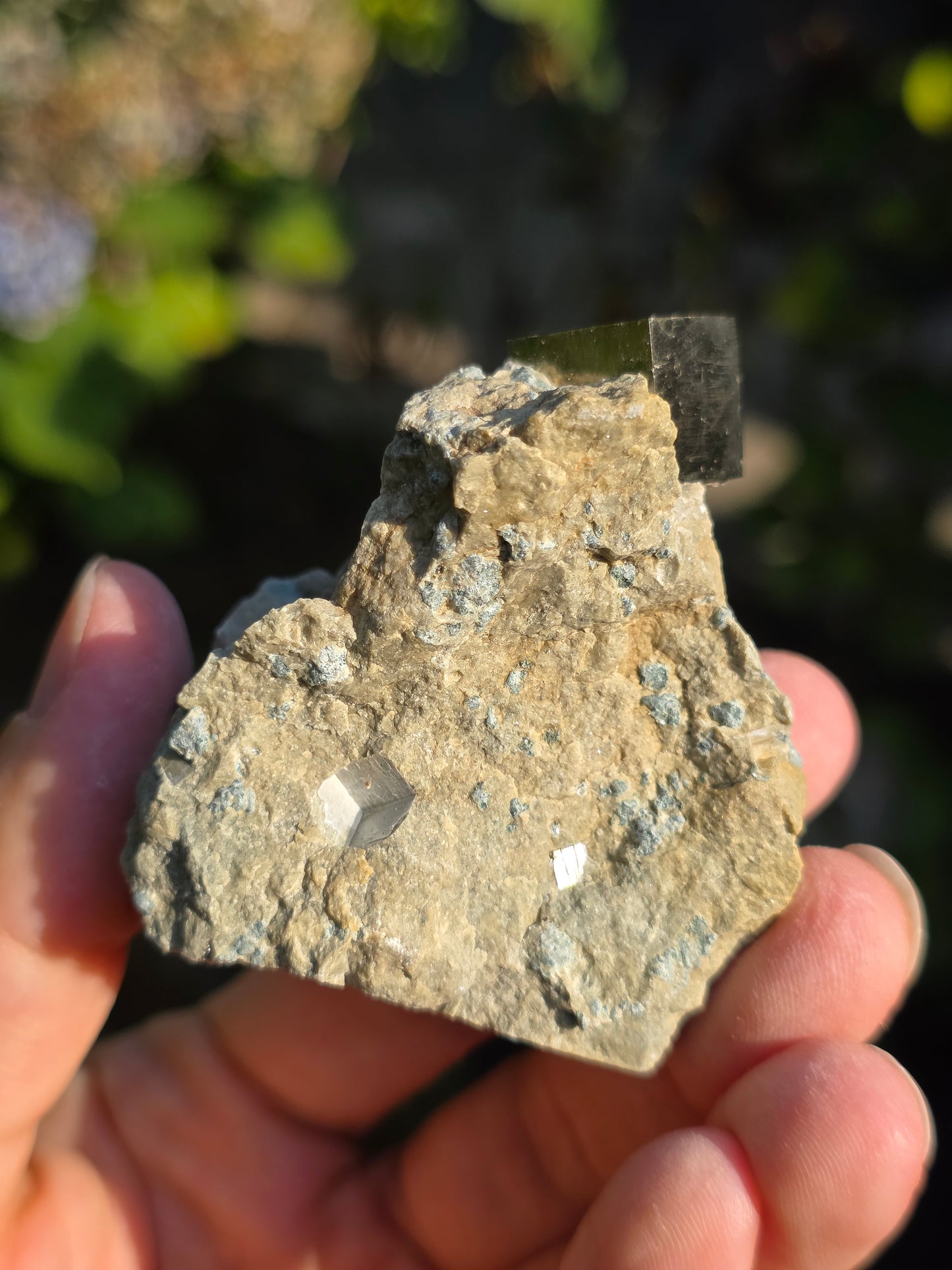 Pyrite de Navajun