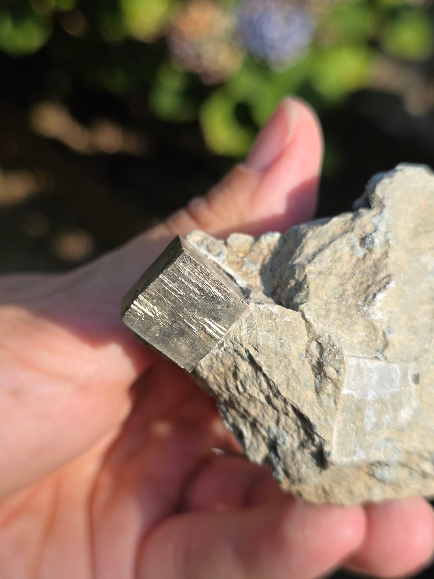 Pyrite de Navajun