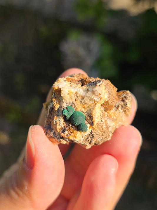 Malachite sur Quartz de l'Aveyron n°1
