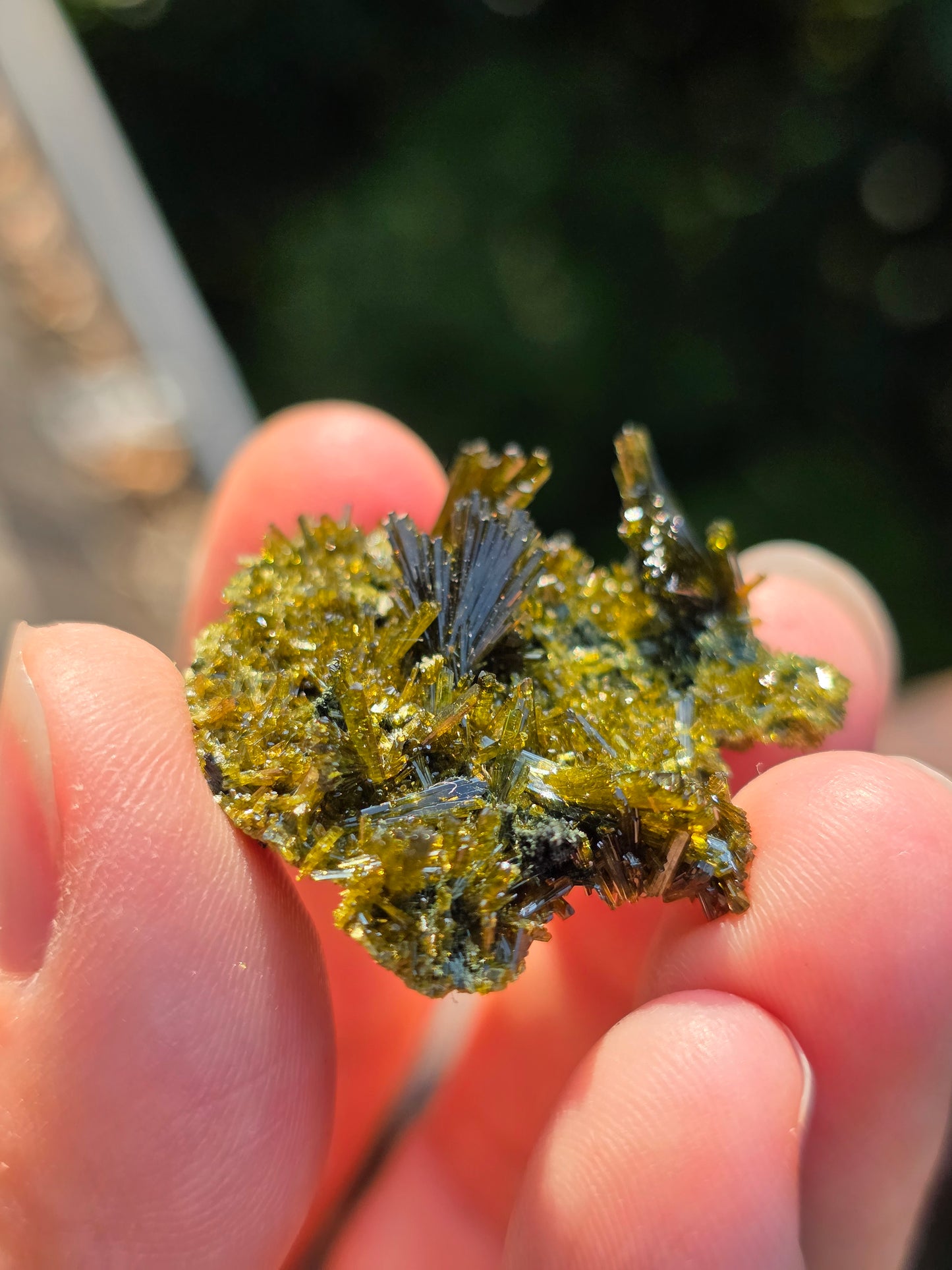 Epidote de Lérida n°5