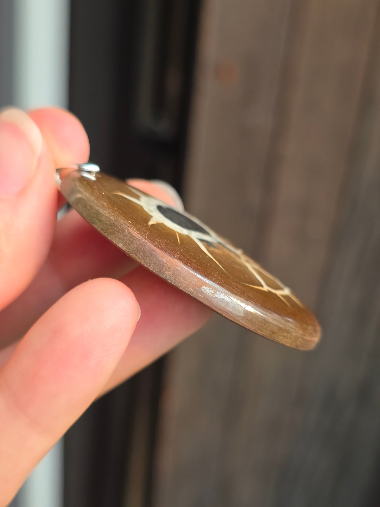 Pendentif Septaria sauvage n°2