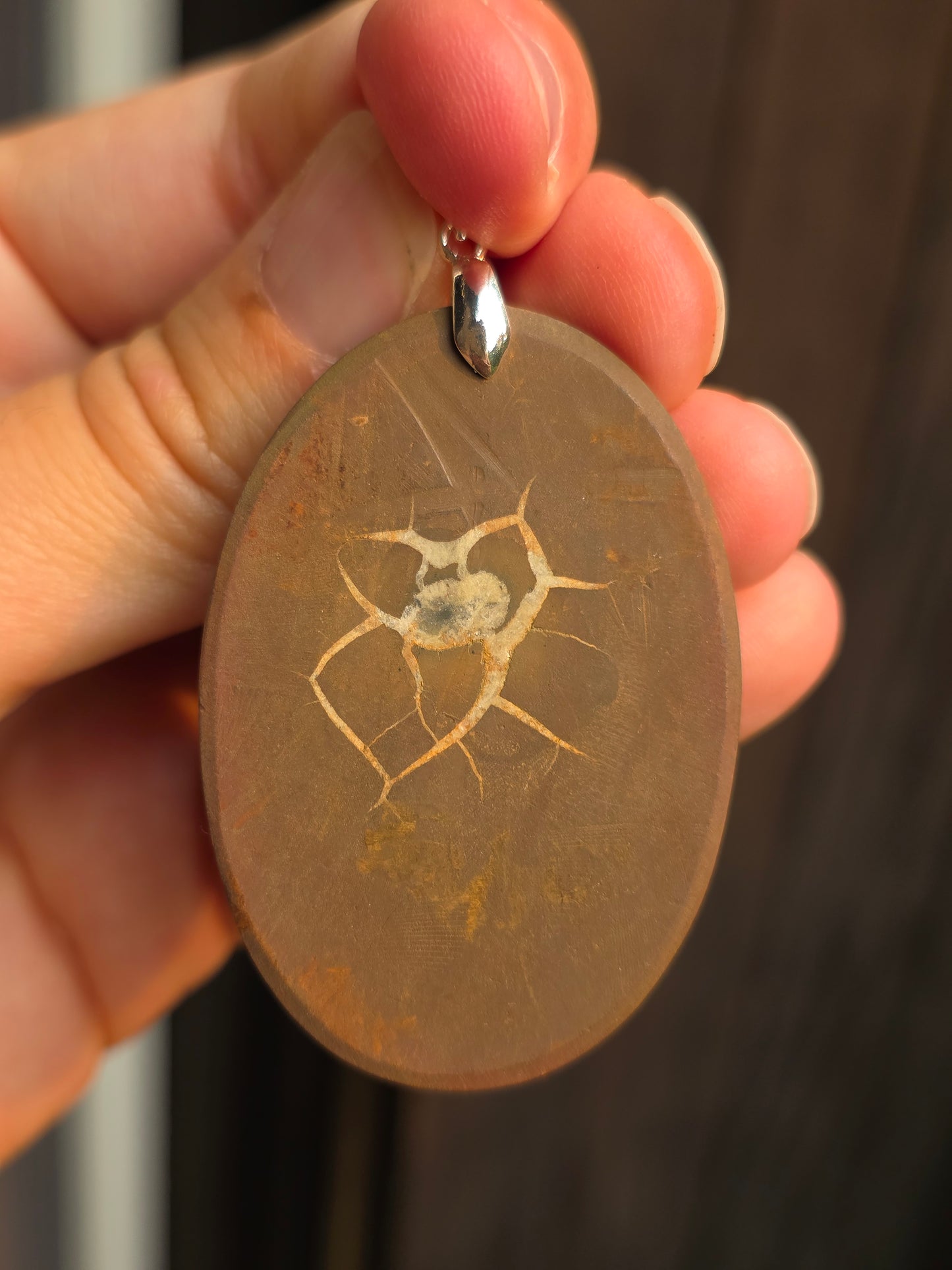 Pendentif Septaria sauvage n°2