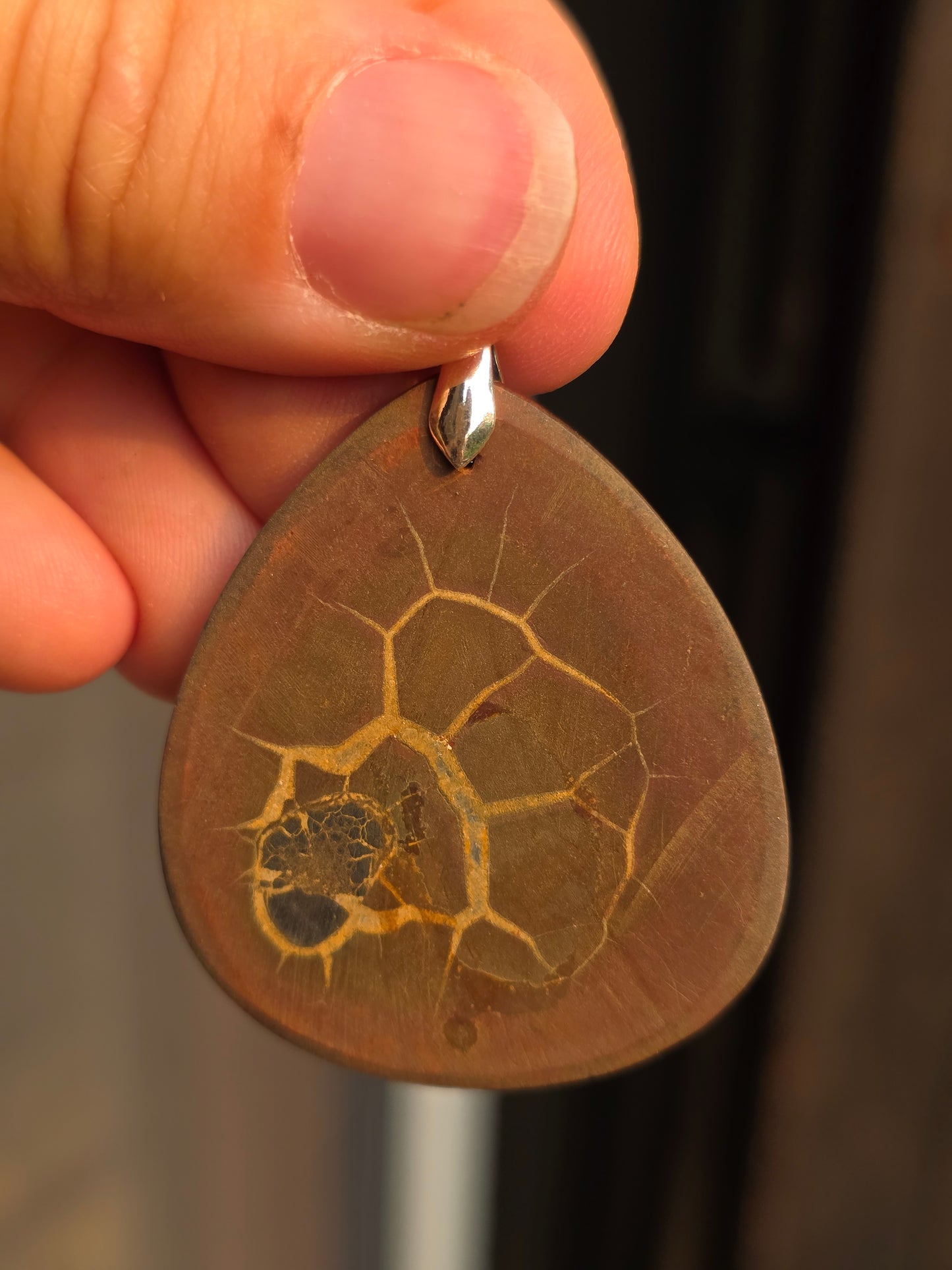 Pendentif Septaria sauvage n°3