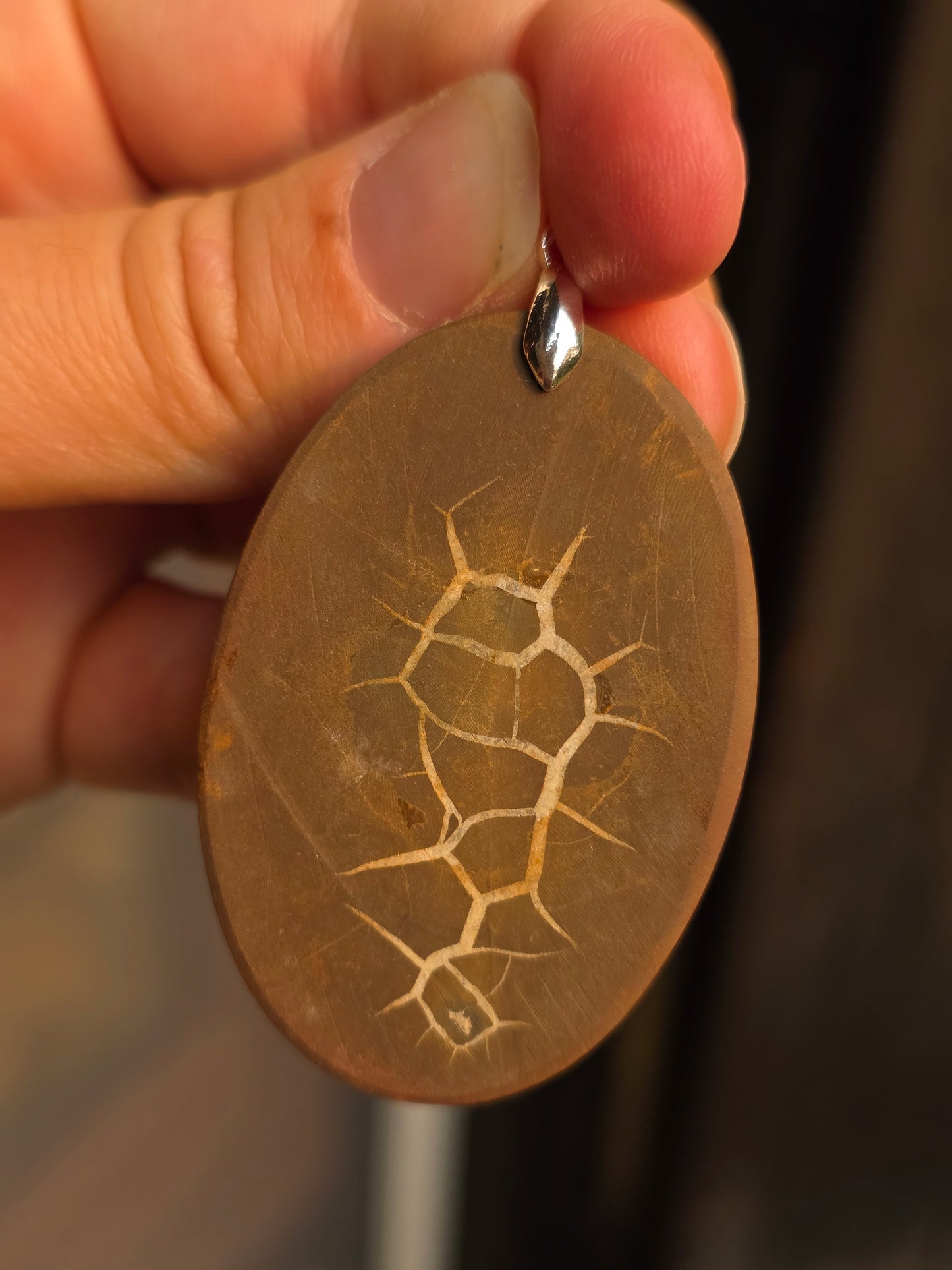 Pendentif Septaria sauvage n°4