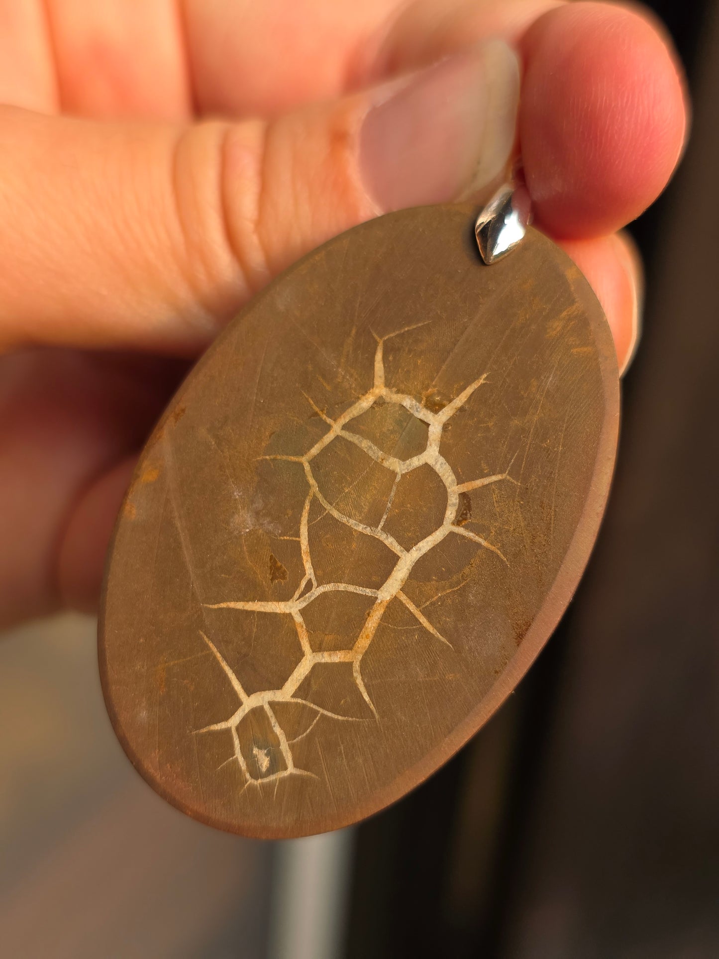 Pendentif Septaria sauvage n°4