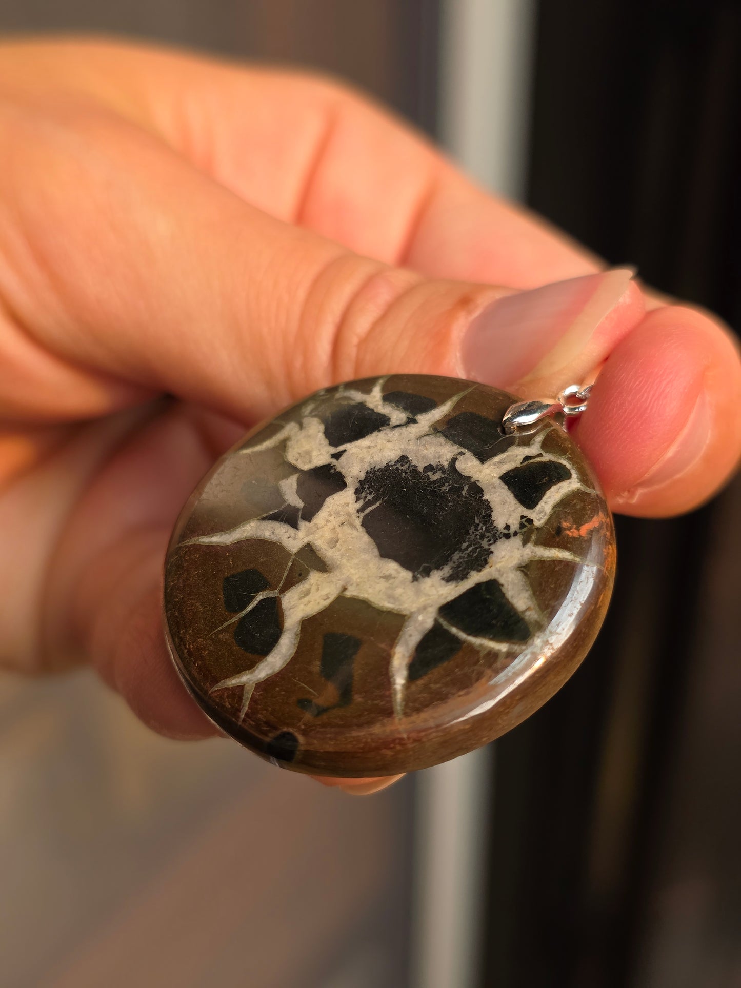 Pendentif Septaria sauvage n°6