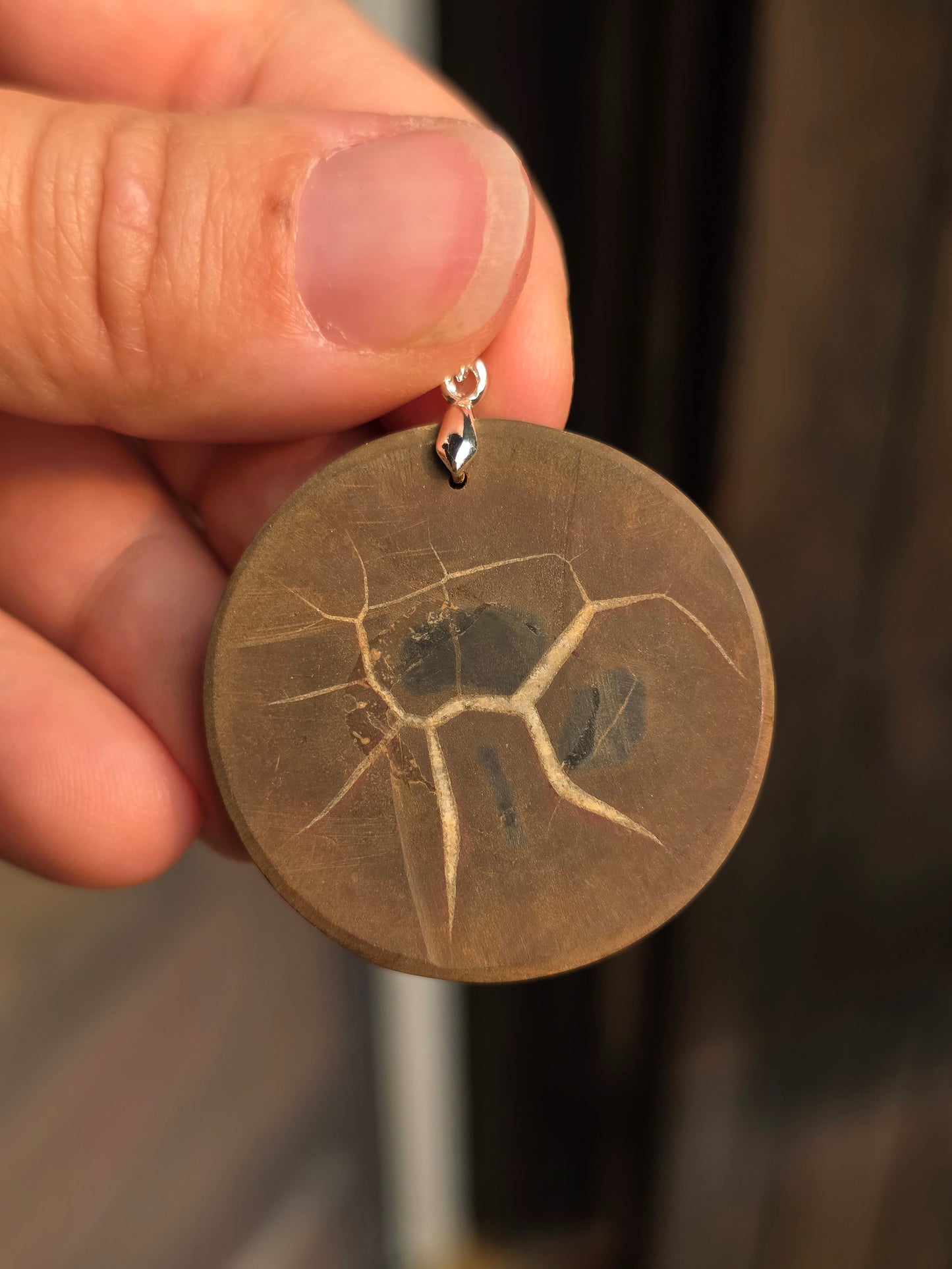Pendentif Septaria sauvage n°6