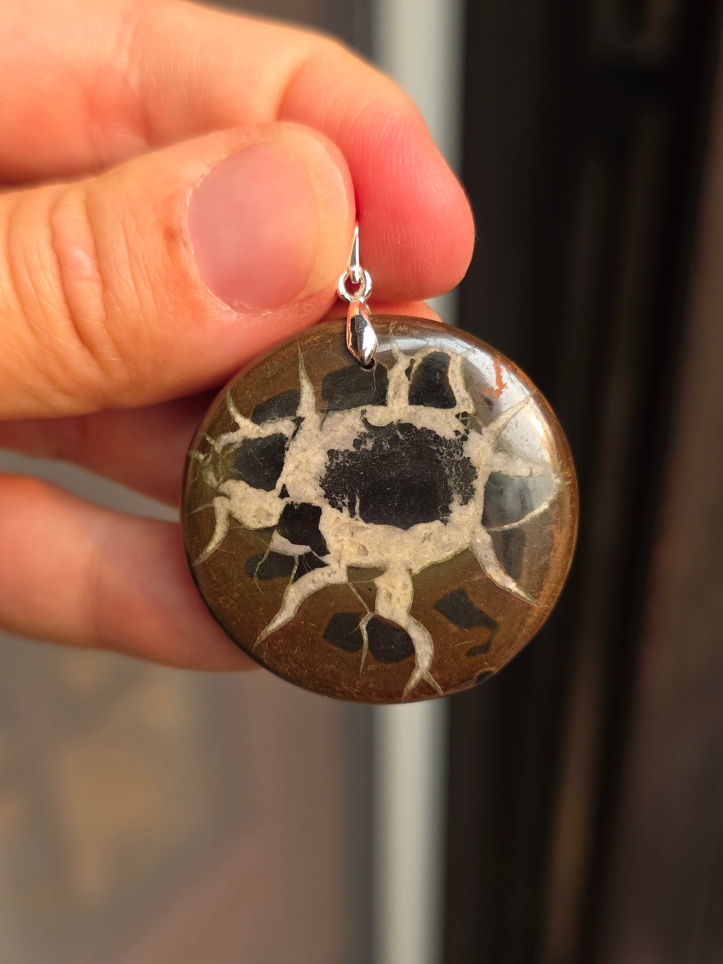 Pendentif Septaria sauvage n°6