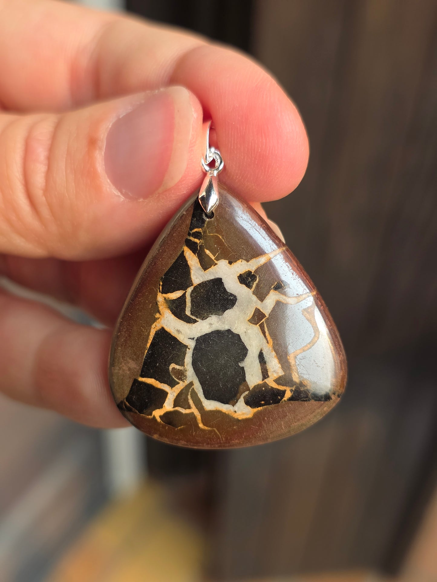 Pendentif Septaria sauvage n°7