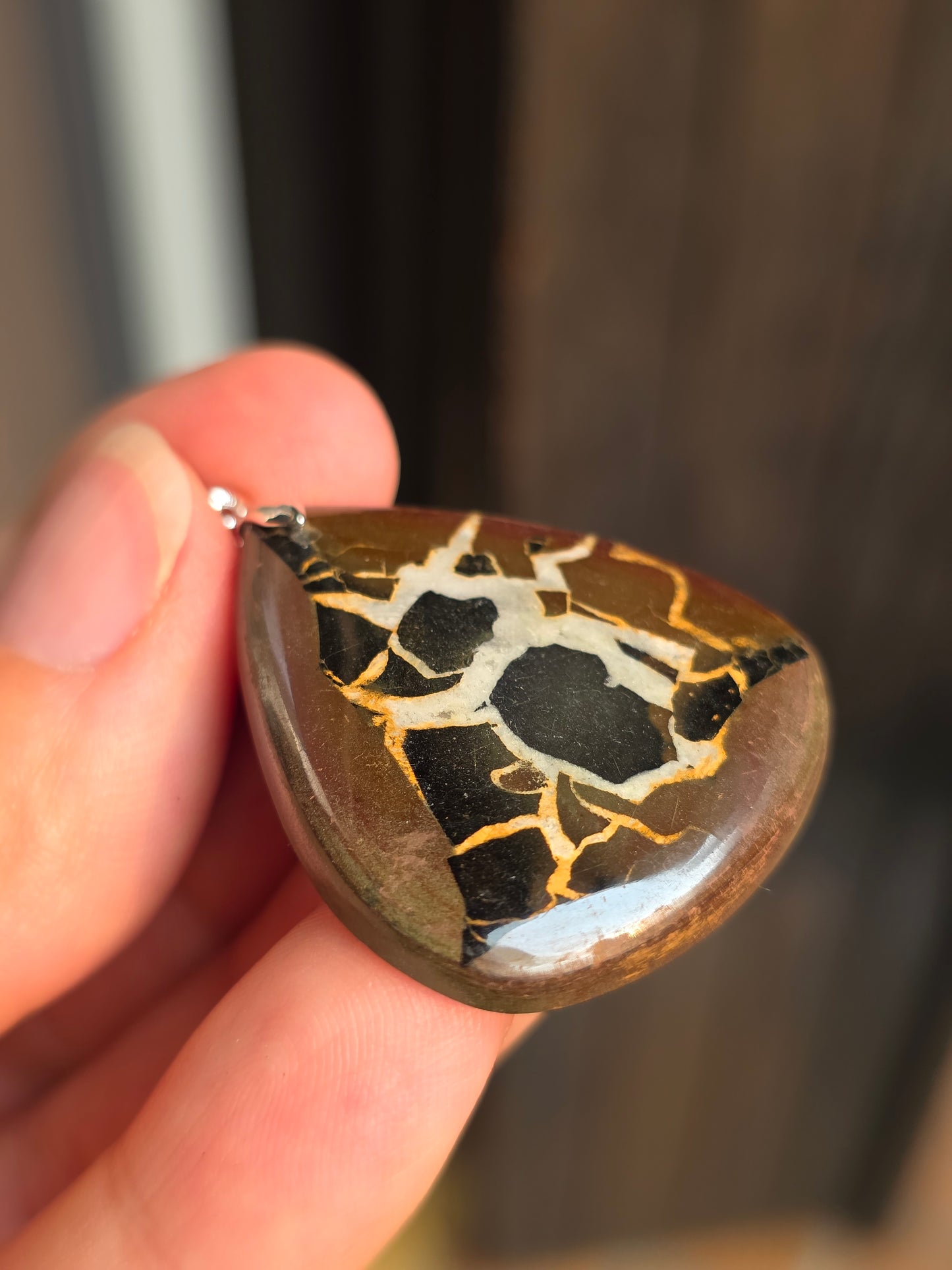Pendentif Septaria sauvage n°7