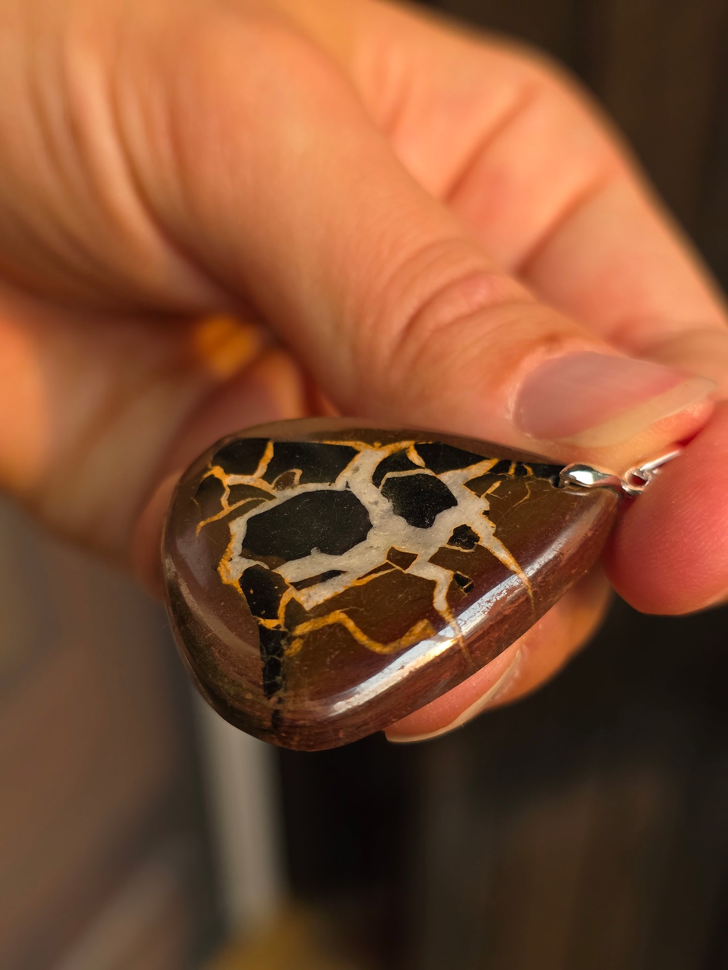 Pendentif Septaria sauvage n°7