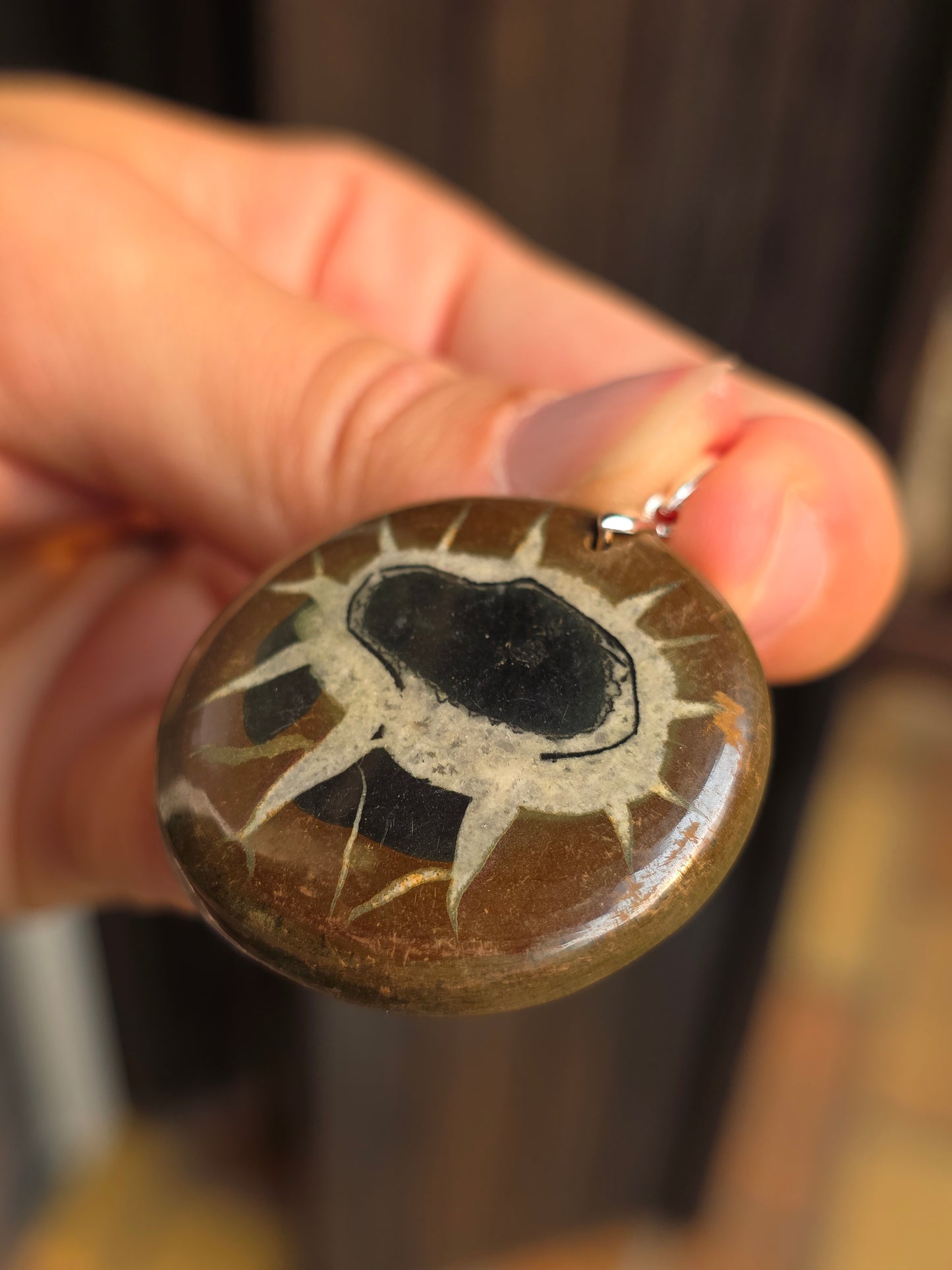 Pendentif Septaria sauvage n°9