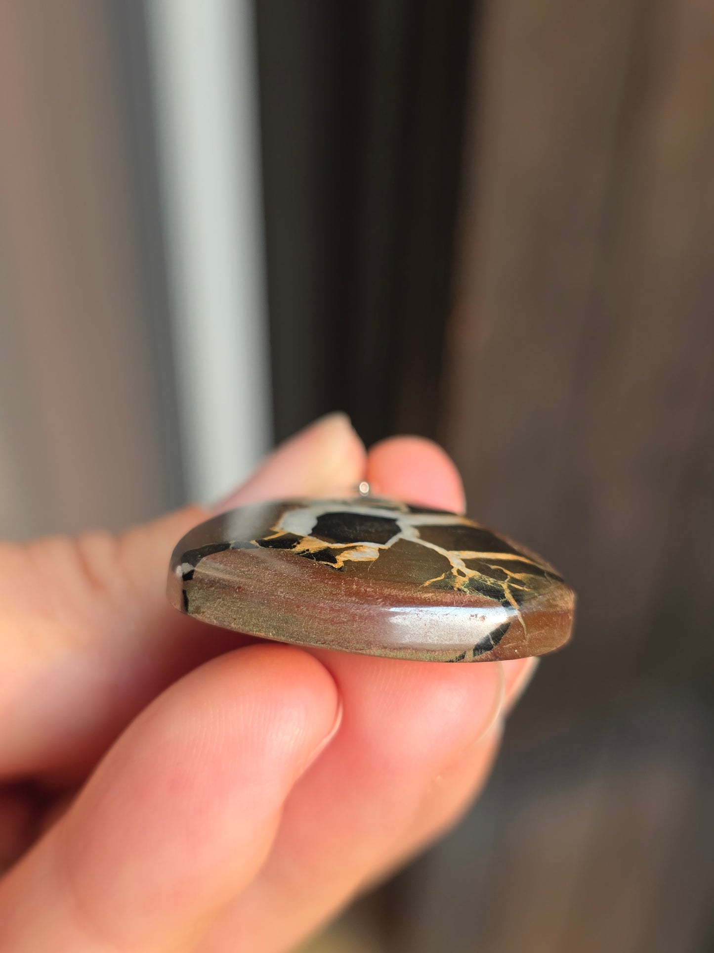 Pendentif Septaria sauvage n°10