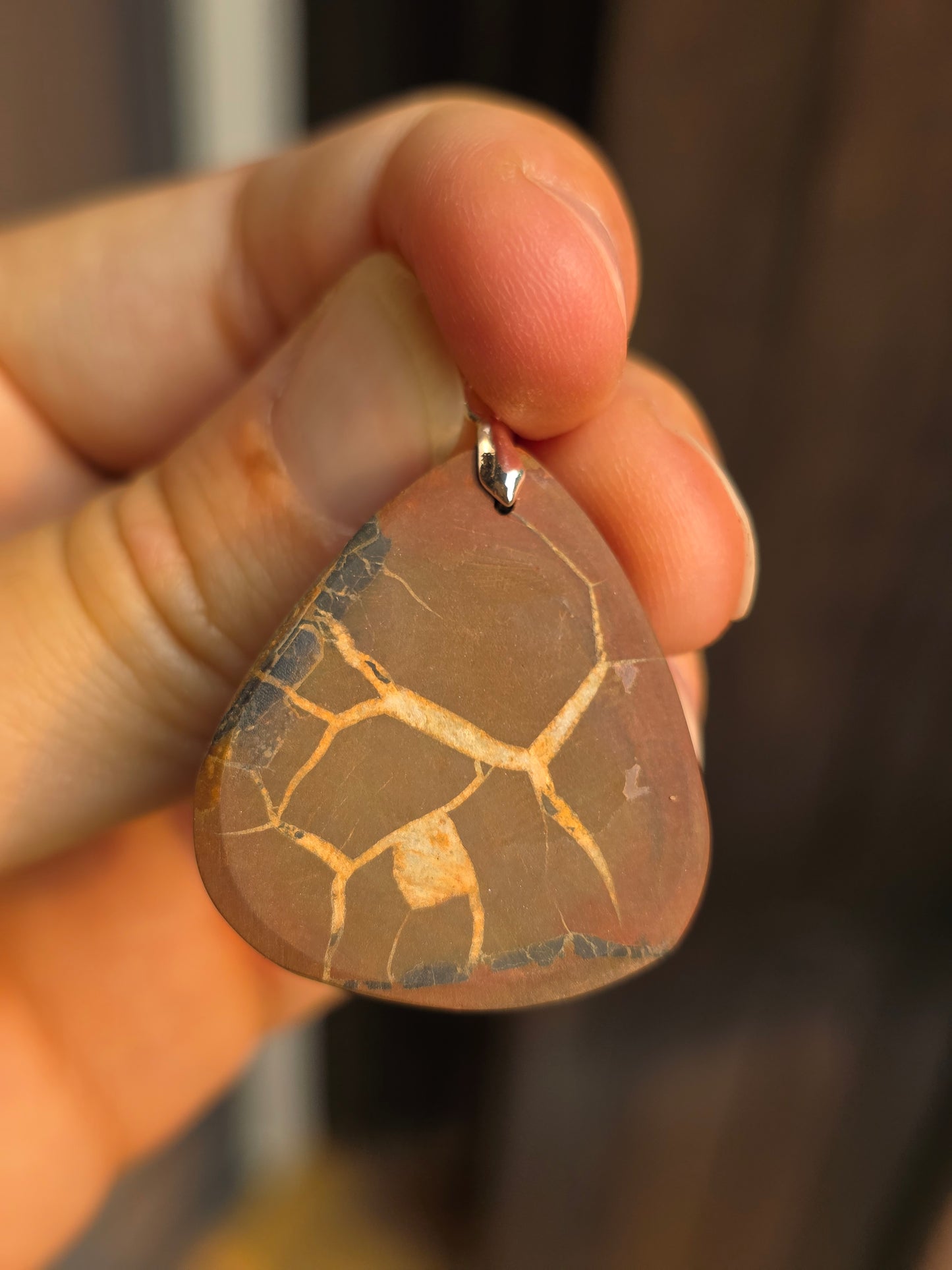 Pendentif Septaria sauvage n°10
