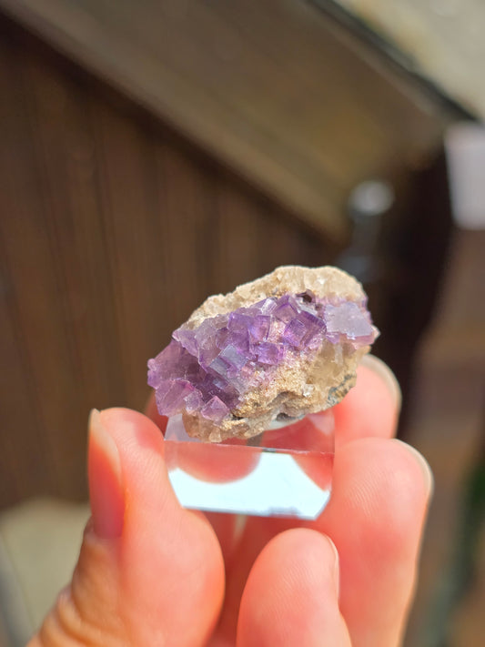 Fluorite des Pyrénées K