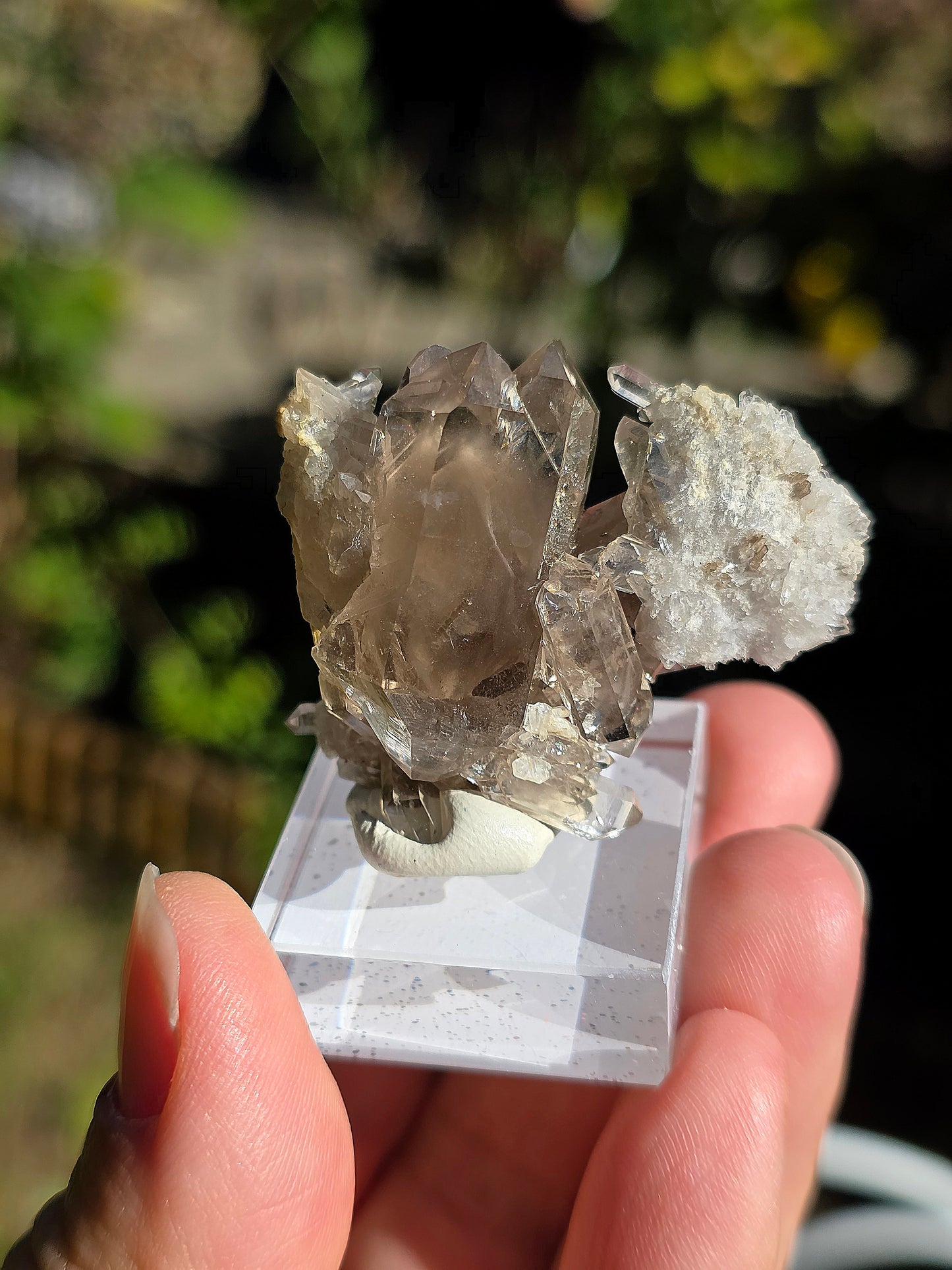 Quartz fumé des Pyrénées n°20