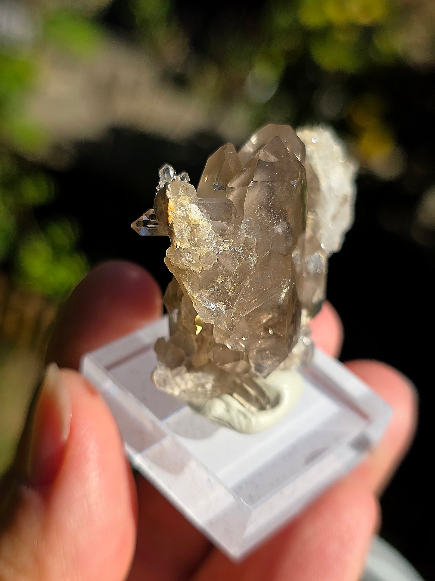 Quartz fumé des Pyrénées n°20