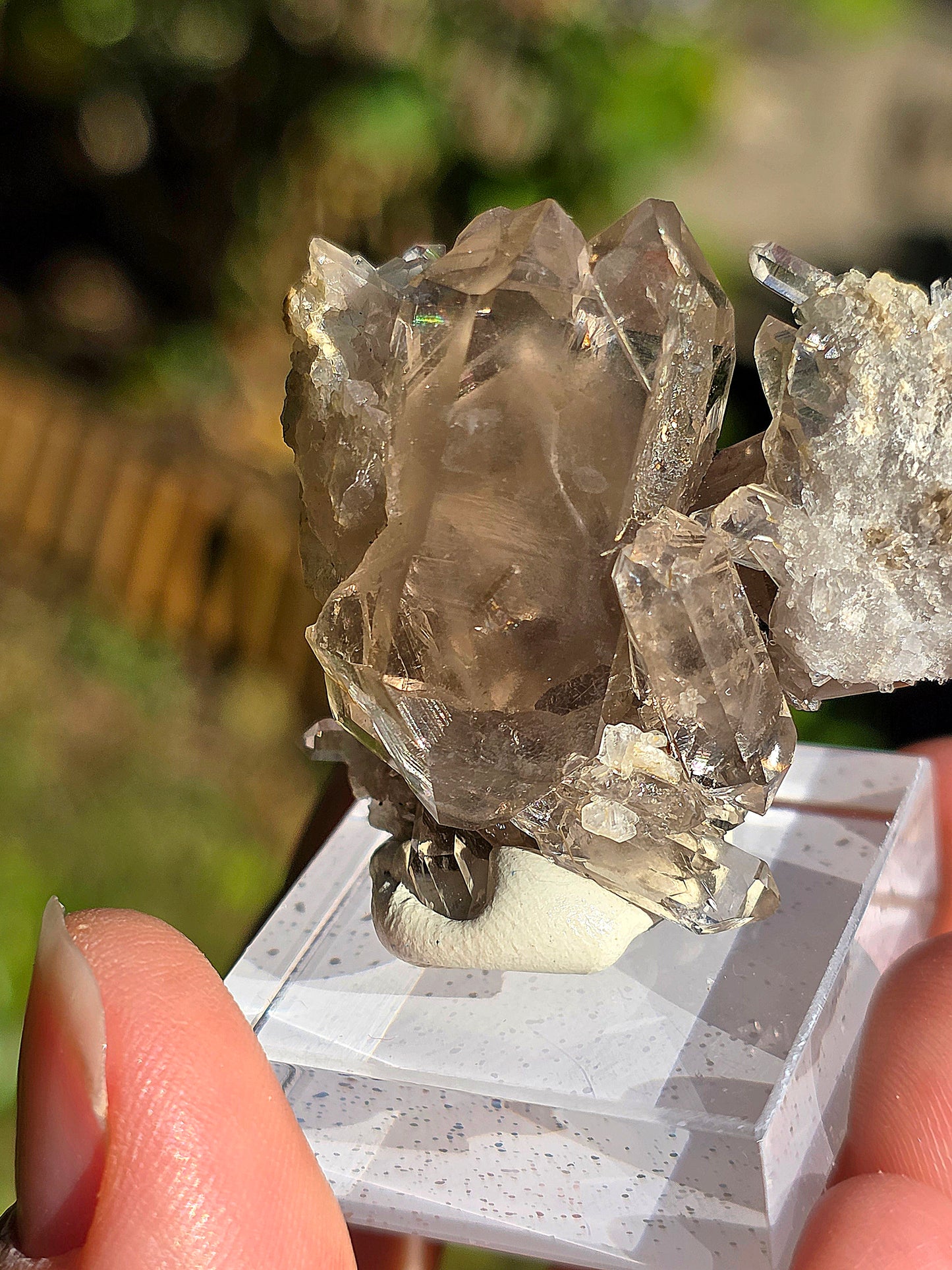 Quartz fumé des Pyrénées n°20